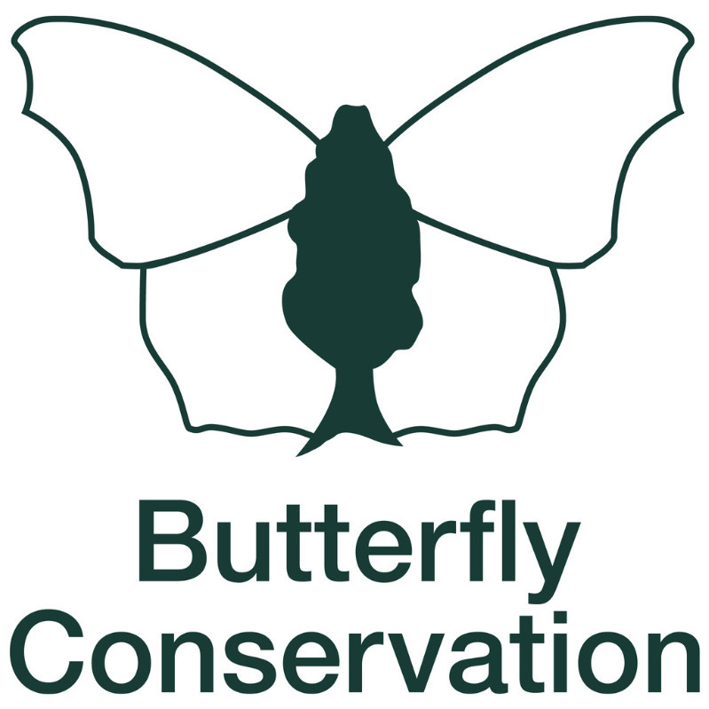 Butterfly Conservation