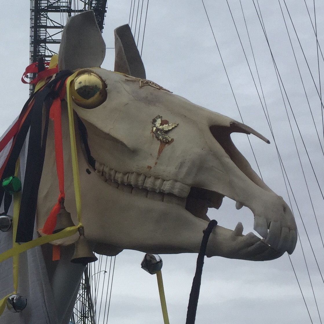 Newport Mari Lwyd