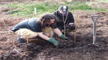 Carbon Negative Food Growing Project