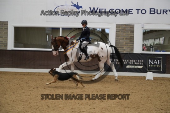 BRC NAF CHAMPIONSHIPS 2023 SUNDAY INDOORS