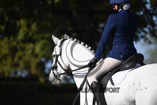 BRC NAF NATIONAL CHAMPS 2025   SUN DR MORNING TILL 12.00