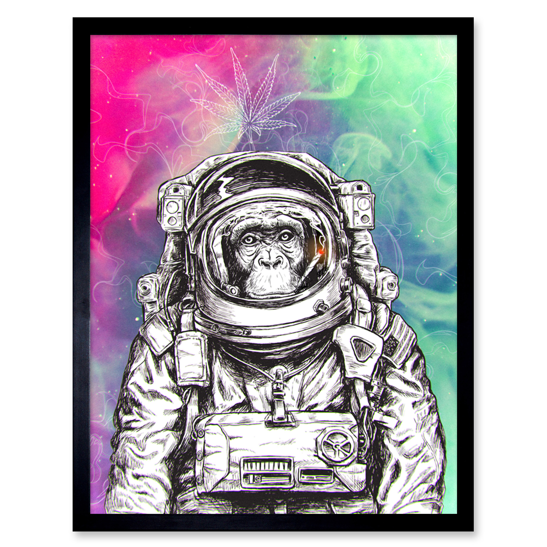 Picture 2 of 29
