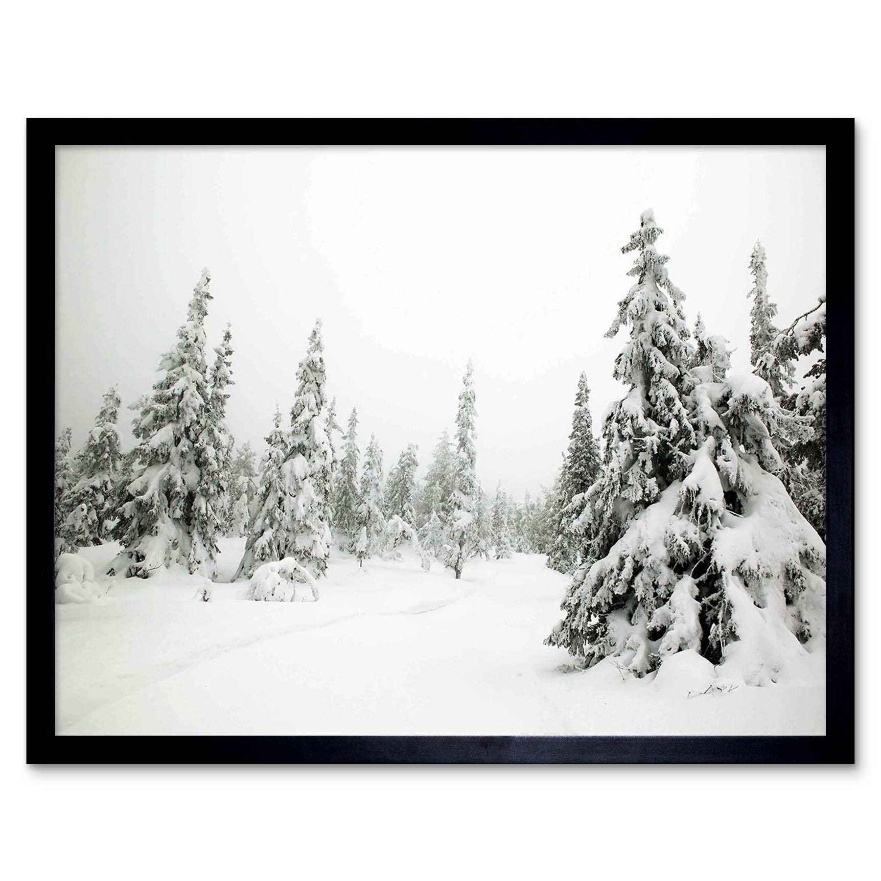 photography landscape winter scene snow forest trees 12x16 inch