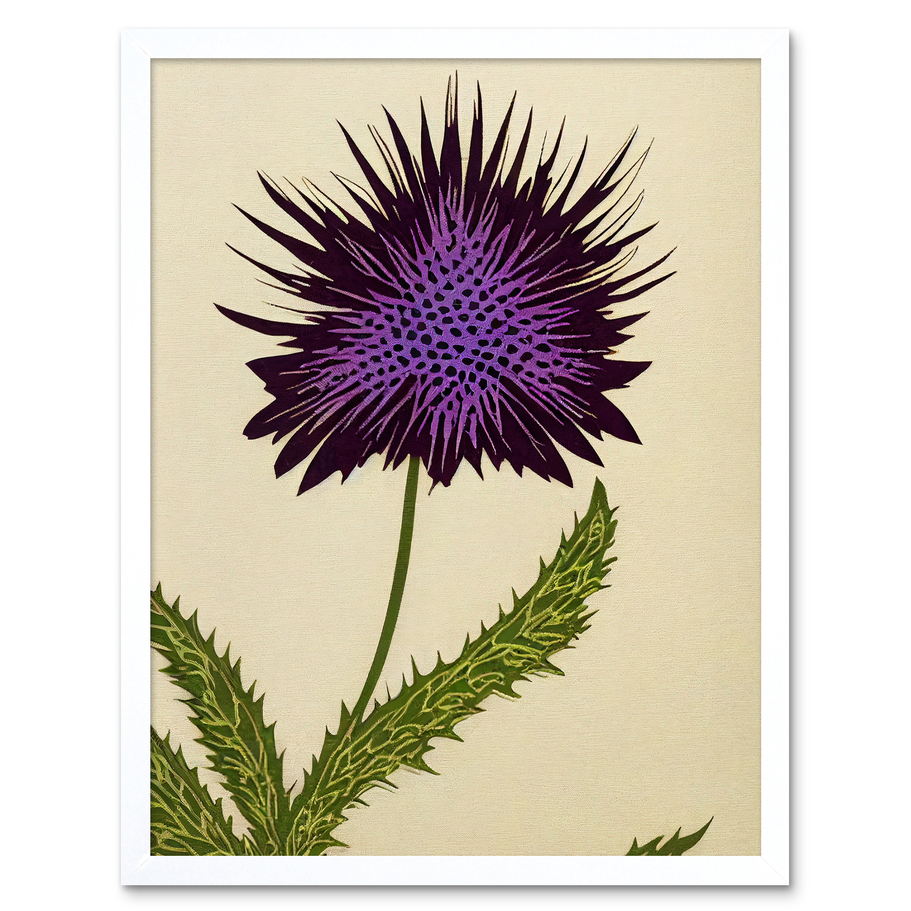 Stylized Purple Scottish Thistle Flower Framed Wall Art Picture Print 12x16