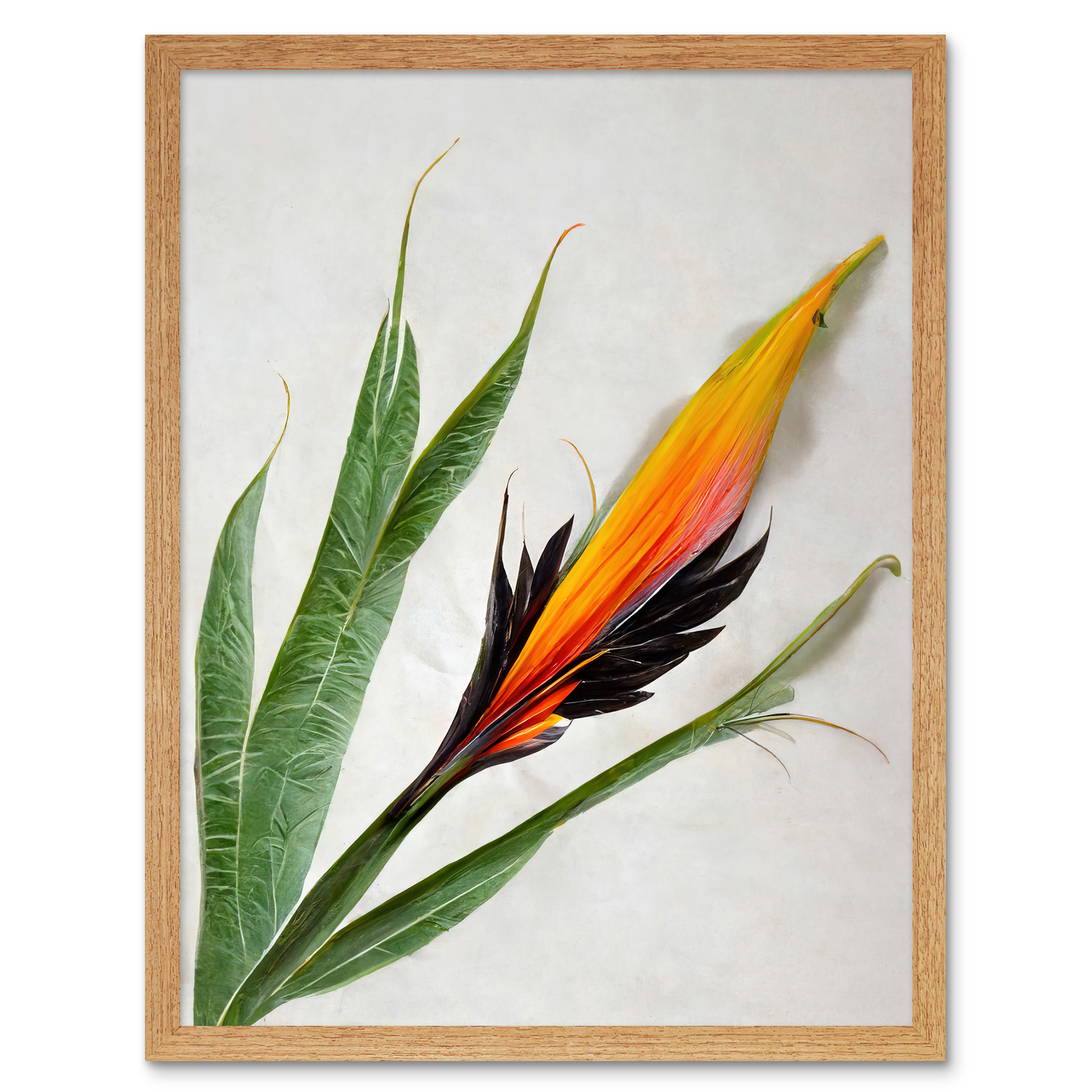 Bird Paradise Tropical Plant Flower Leaves Framed Wall Art Picture Print 12x16