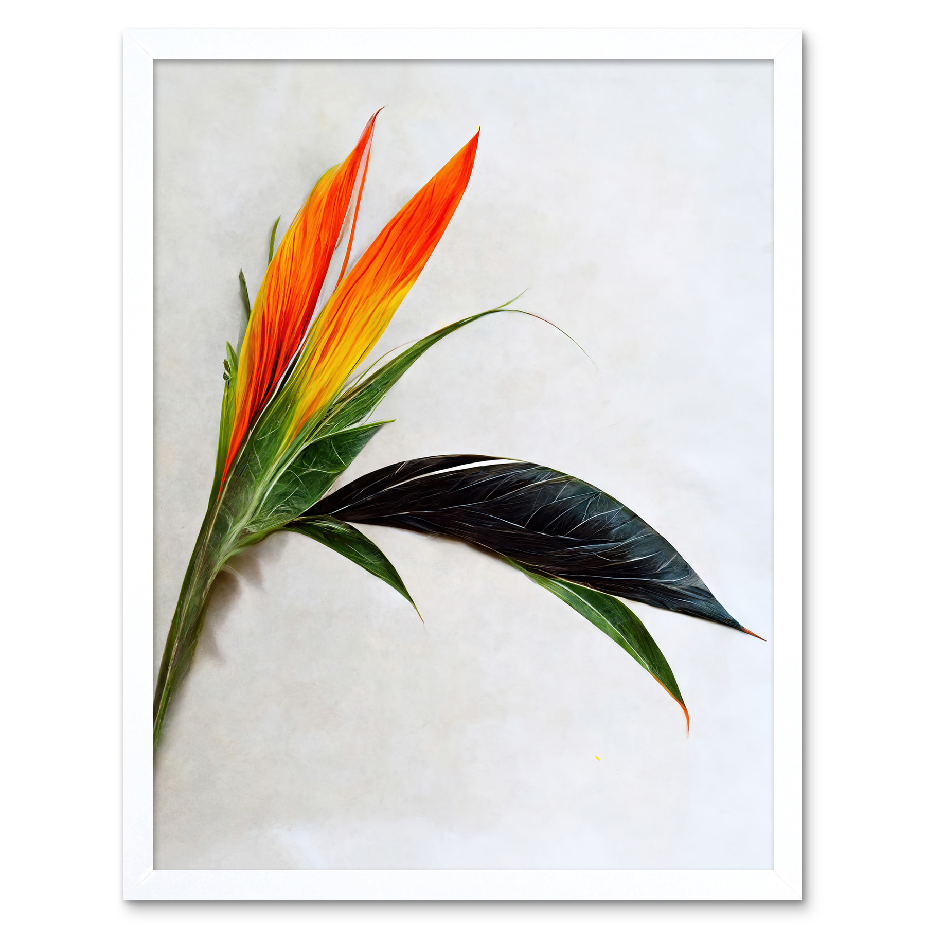 Tropical Plant Bird of Paradise Flower Framed Wall Art Picture Print 12x16