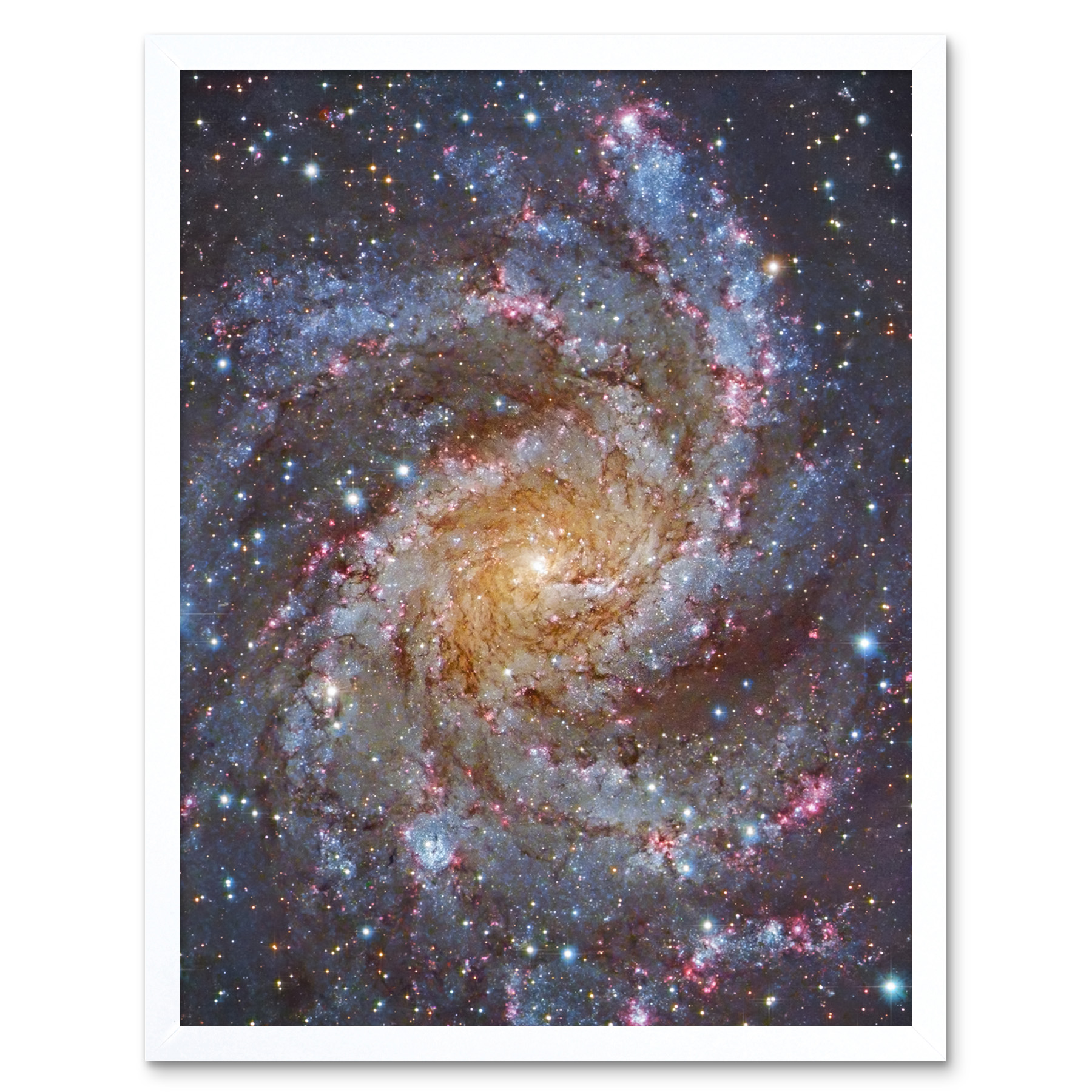 Hubble Space Telescope NGC 6946 Supernova Fireworks Galaxy Framed Wall Art 12x16