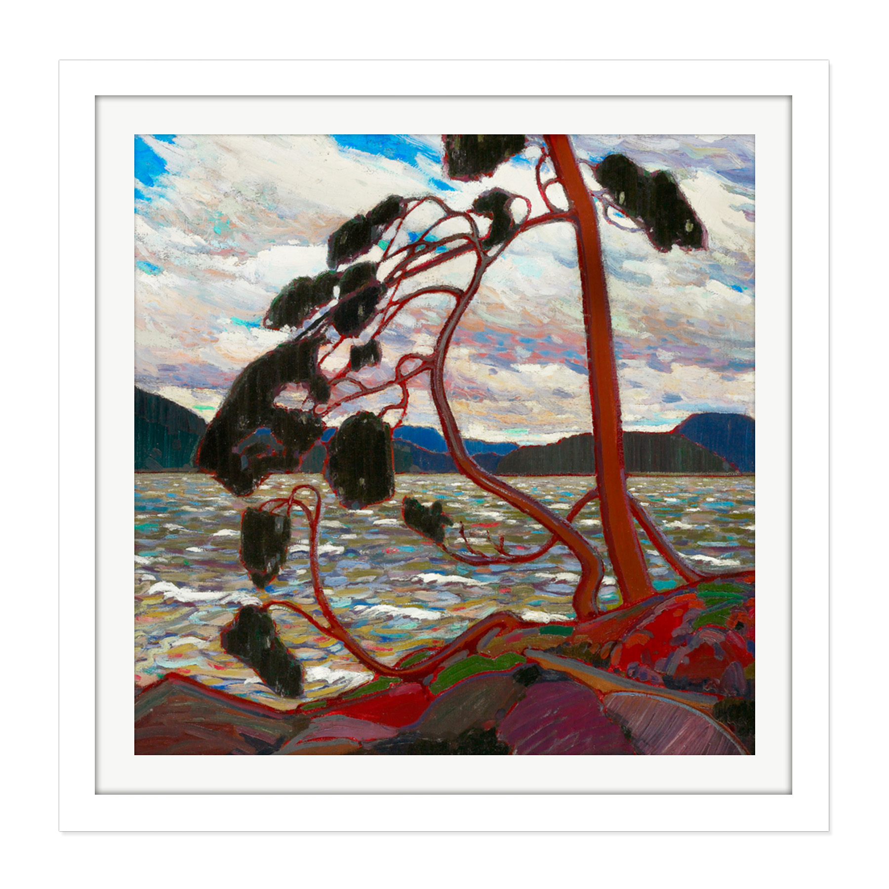 Framed White 16X16