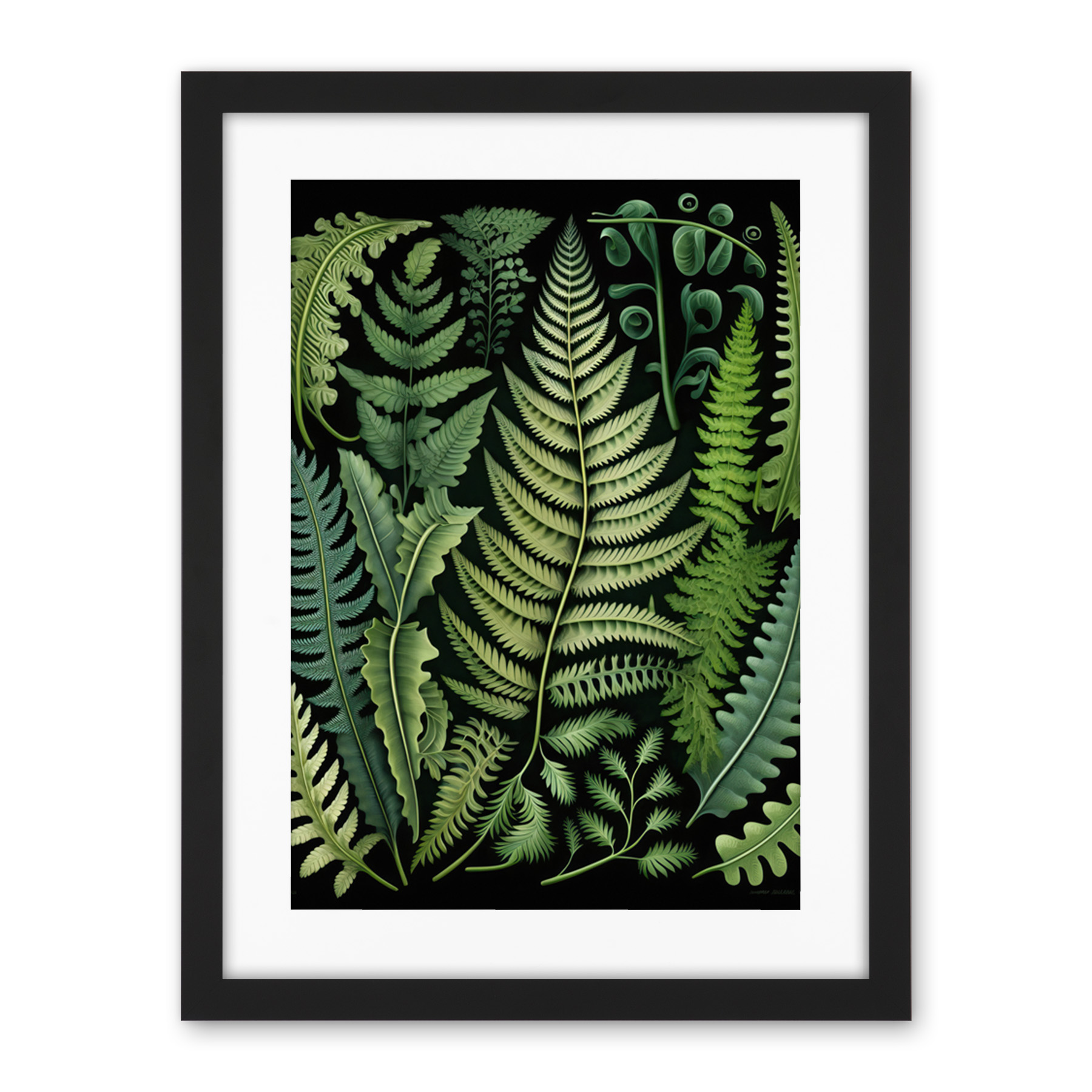 Ernst Haeckel Stil Farn Wedel Blatt Gerahmter druck 46x61 cm | eBay.de