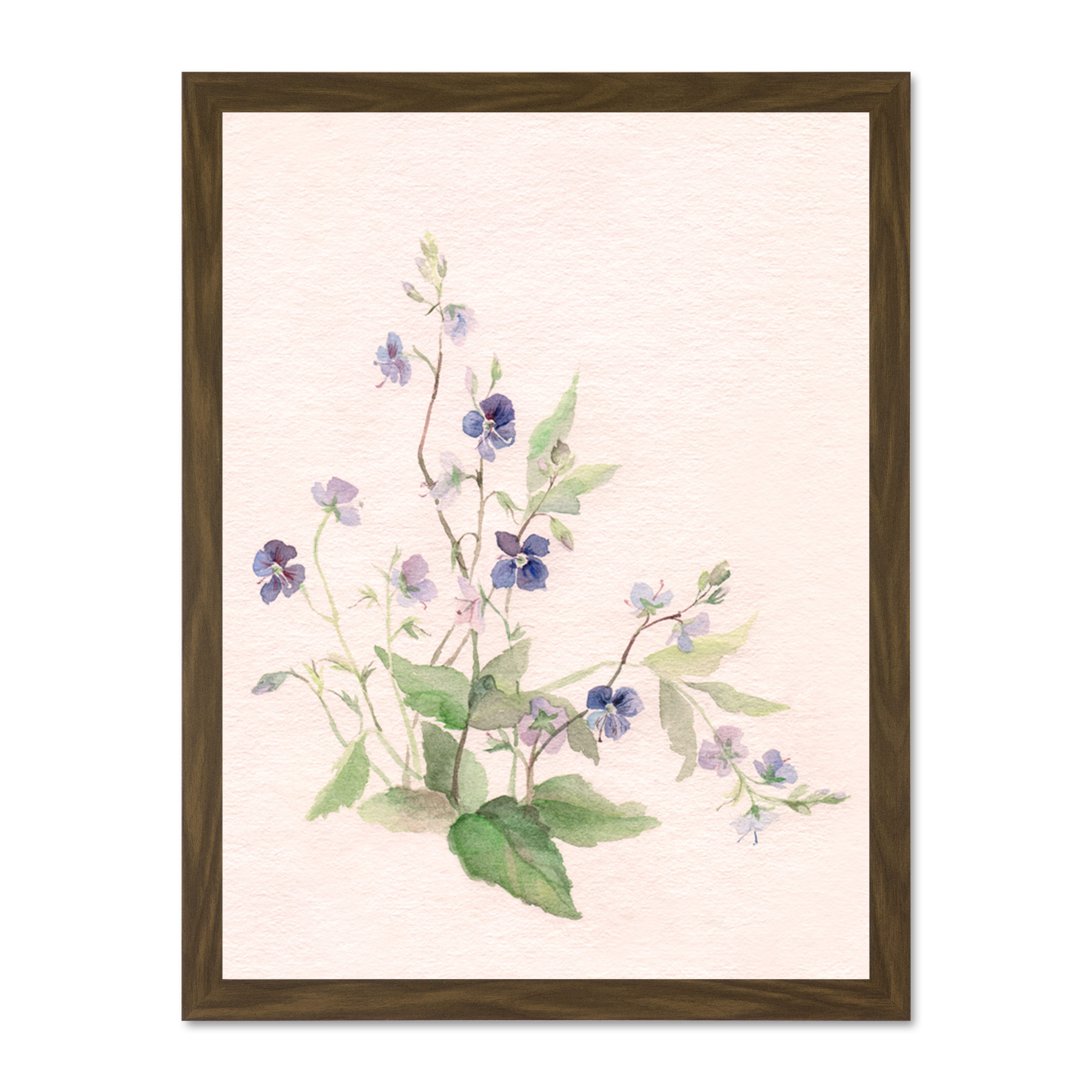 Flower Veronica Watercolour Large Framed Art Print Wall Poster 18x24 Inch - Bild 7 von 21