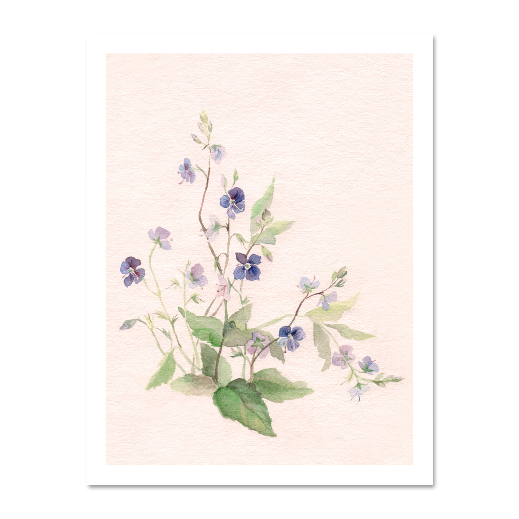 Flower Veronica Watercolour Large Framed Art Print Wall Poster 18x24 Inch - Bild 17 von 21