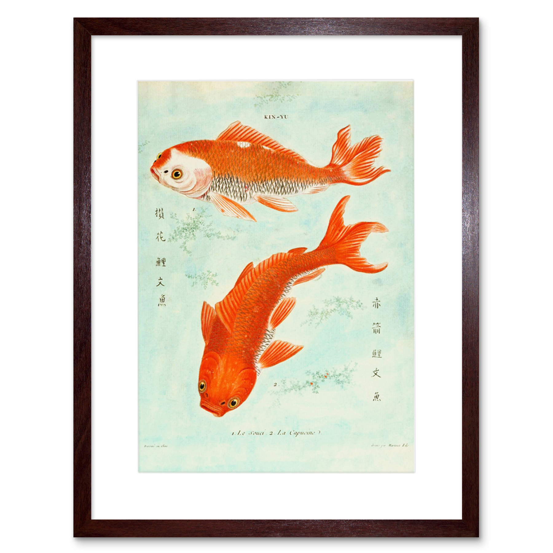 Fish Japanese Koi Art Print Framed Poster Wall Decor