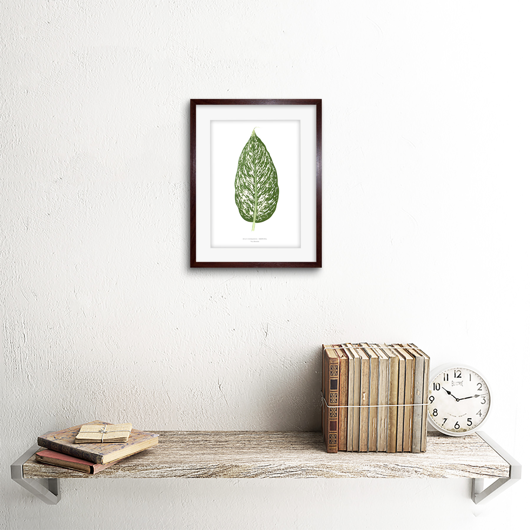 Blatt Dieffenbachia Seguina Gerahmter Kunstdruck 18x23 cm - Bild 8 von 21