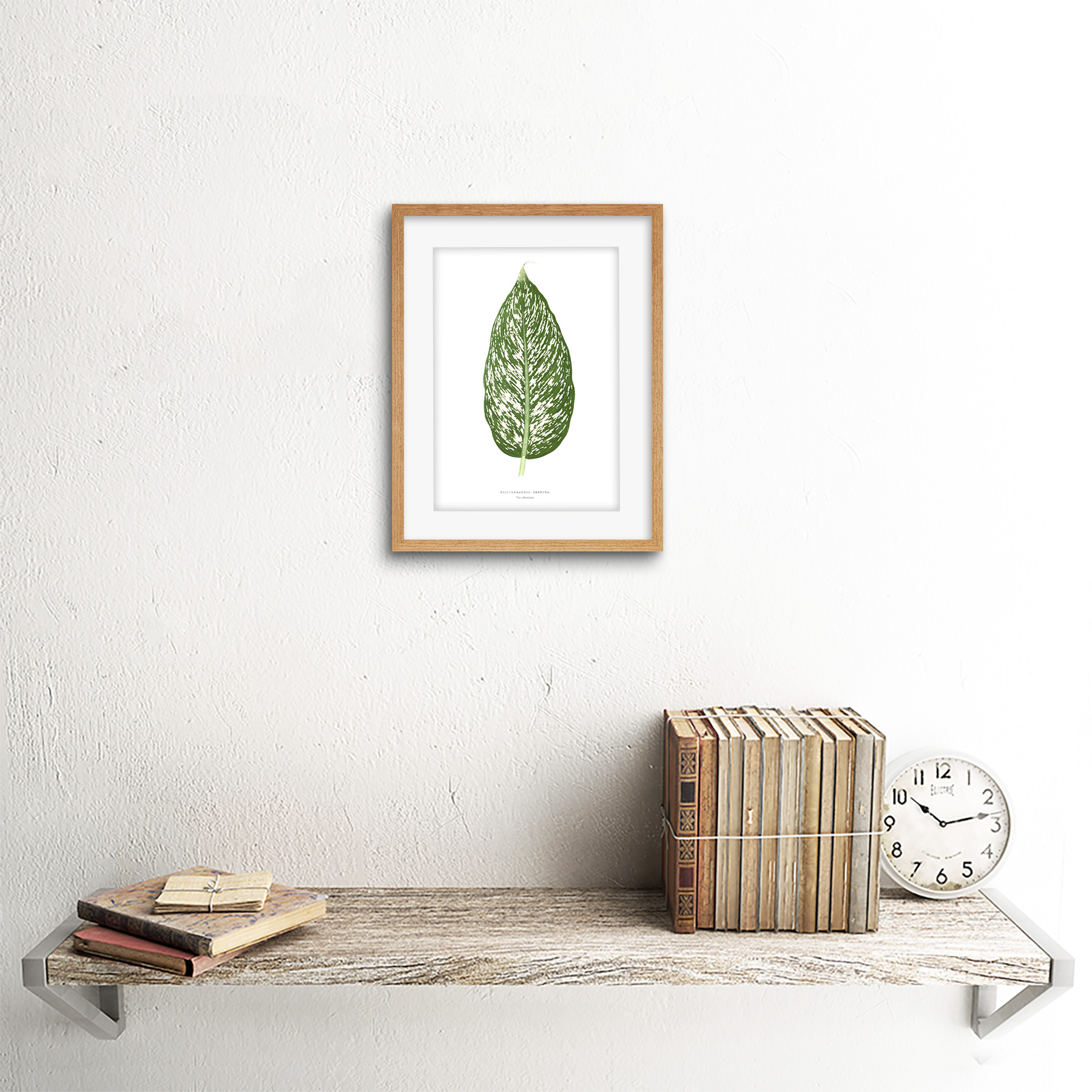 Blatt Dieffenbachia Seguina Gerahmter Kunstdruck 18x23 cm - Bild 13 von 21