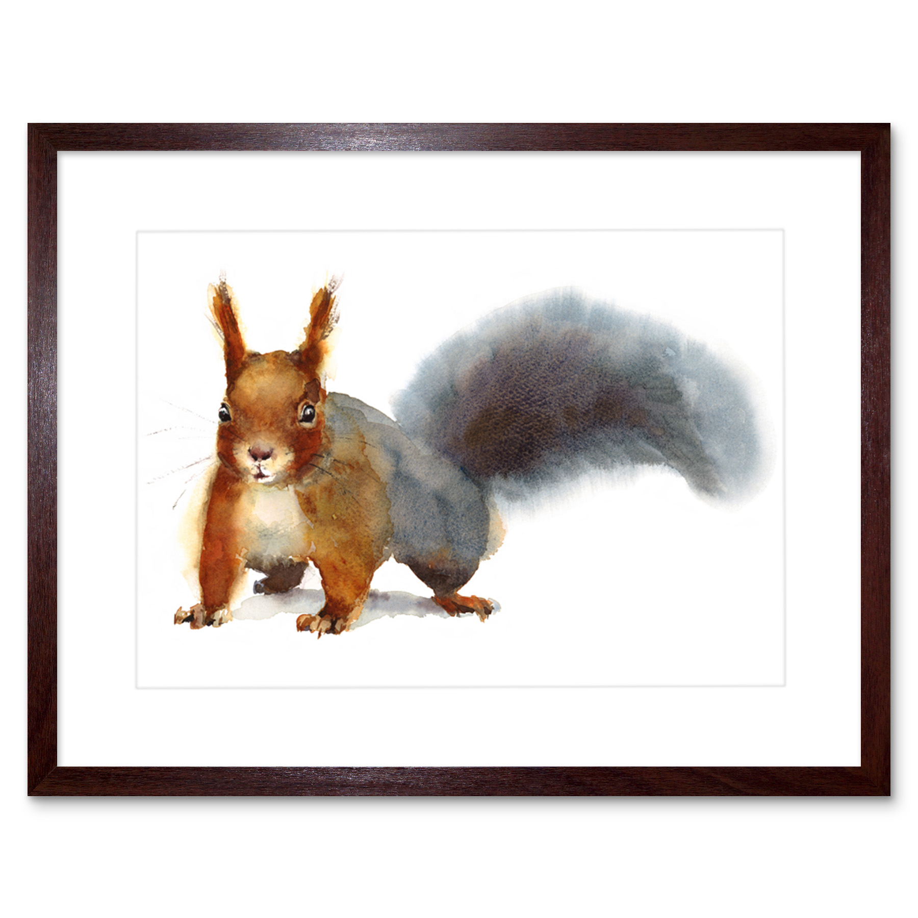 Squirrel Watercolour Cute Art Print Framed Poster Wall Decor