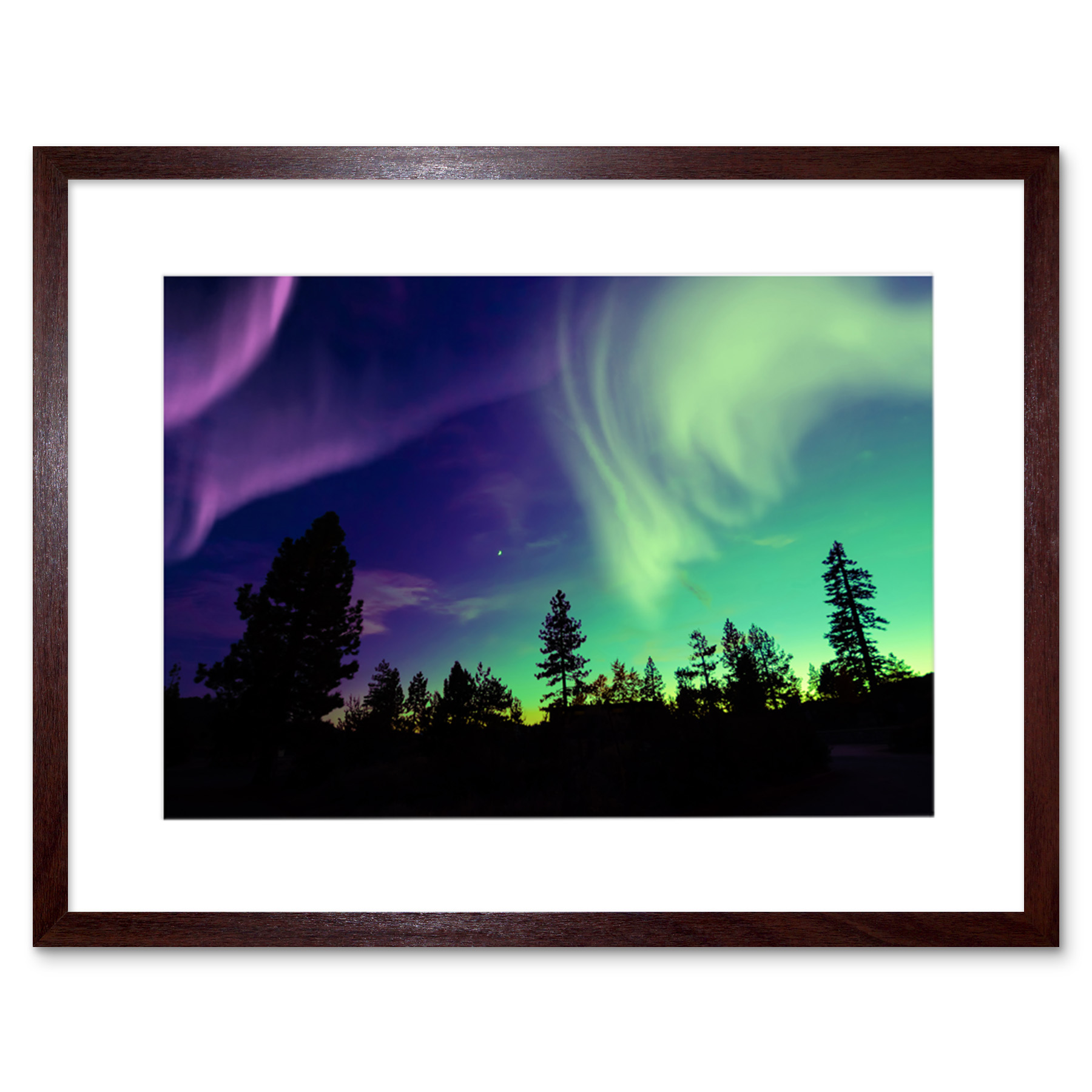 Pine Trees Silhouette Northern Lights Framed Wall Art Print 9X7 In
