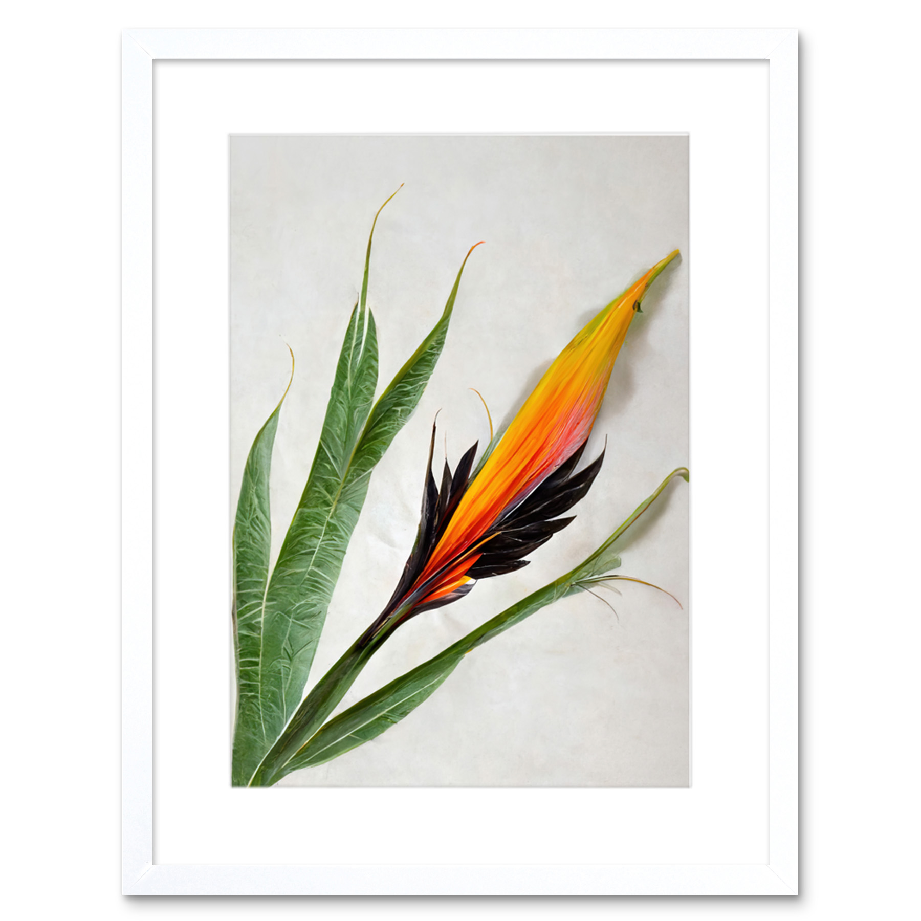 Bird Paradise Tropical Plant Flower Leaves Framed Wall Art Print Picture 9X7 In