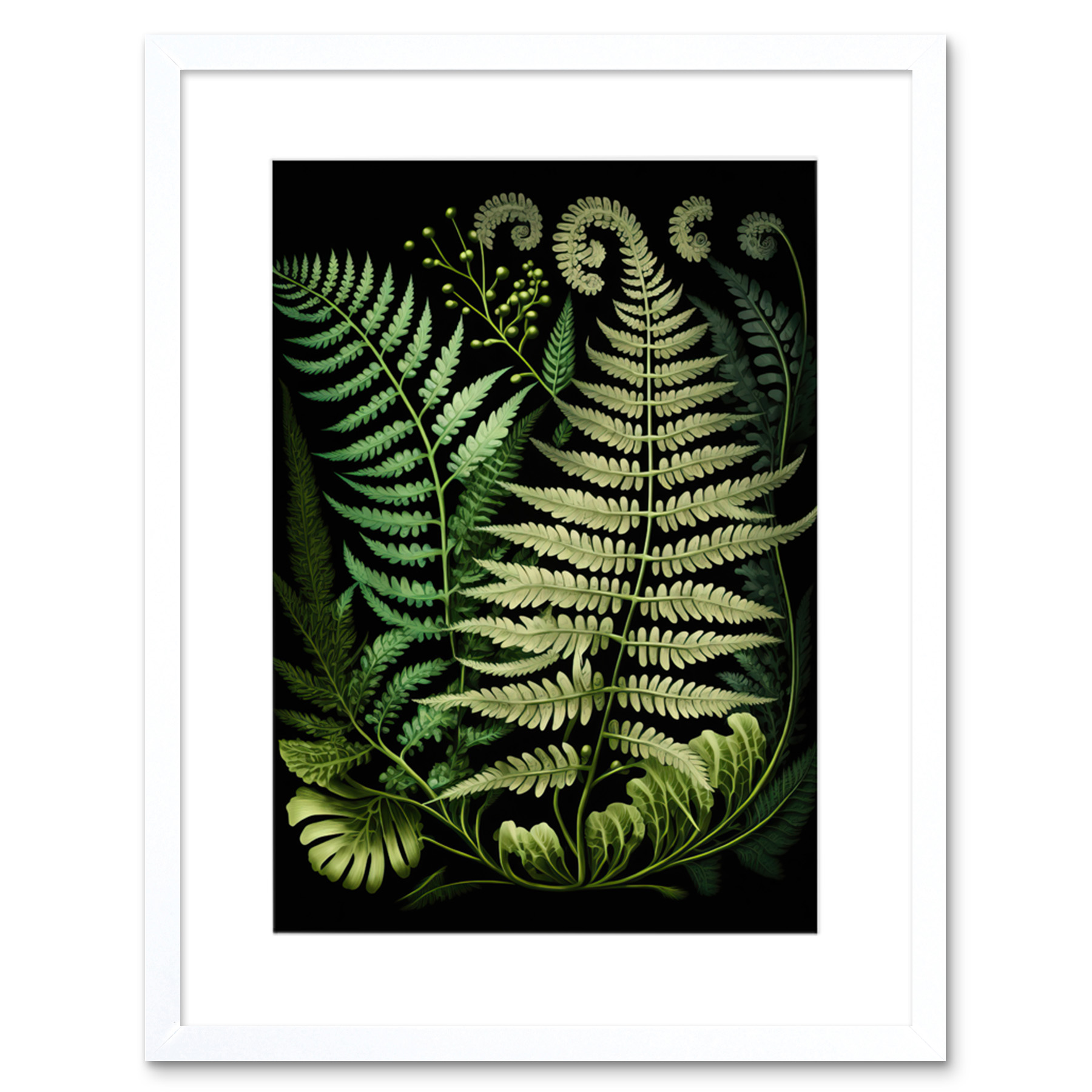 Ernst Haeckel Style Fern Fronds Illustration Framed Art Print Picture 9X7 In