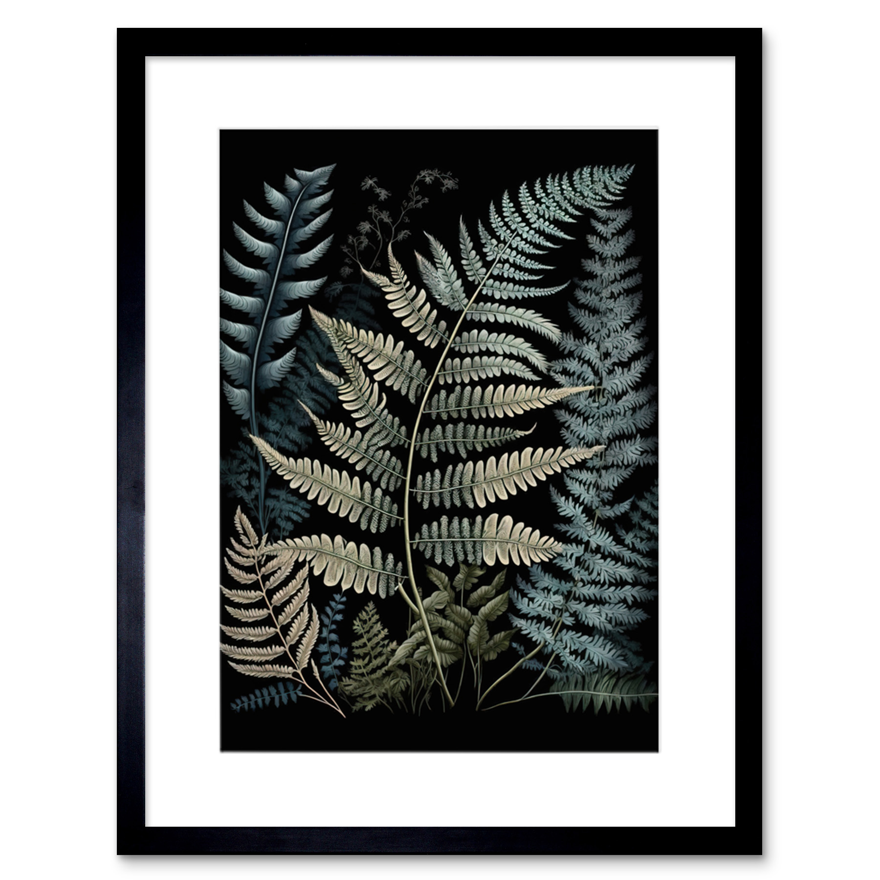 Fern Frond Species Detailed Botanical Illustration Framed Wall Art Picture 9X7""