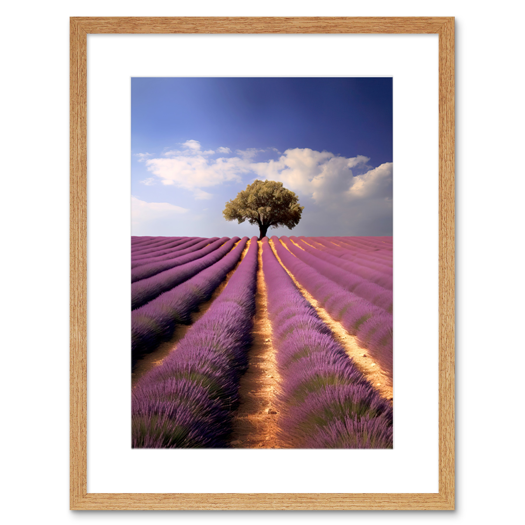 Lavender Field Provence France Lone Tree Flower Purple Framed Art Print 9X7