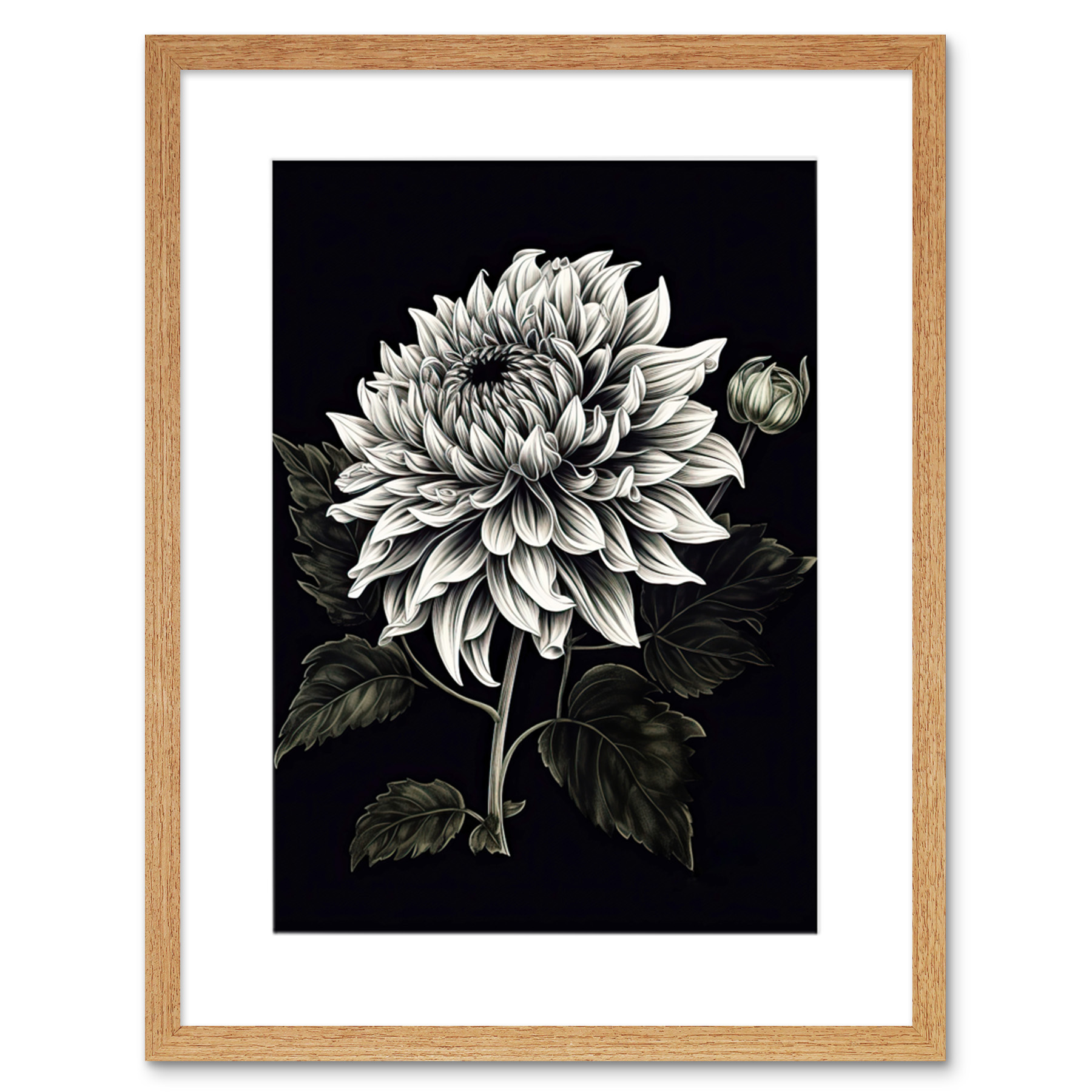 White on Black Dahlia Flower Bloom Illustration Framed Wall Art Print 9X7 In
