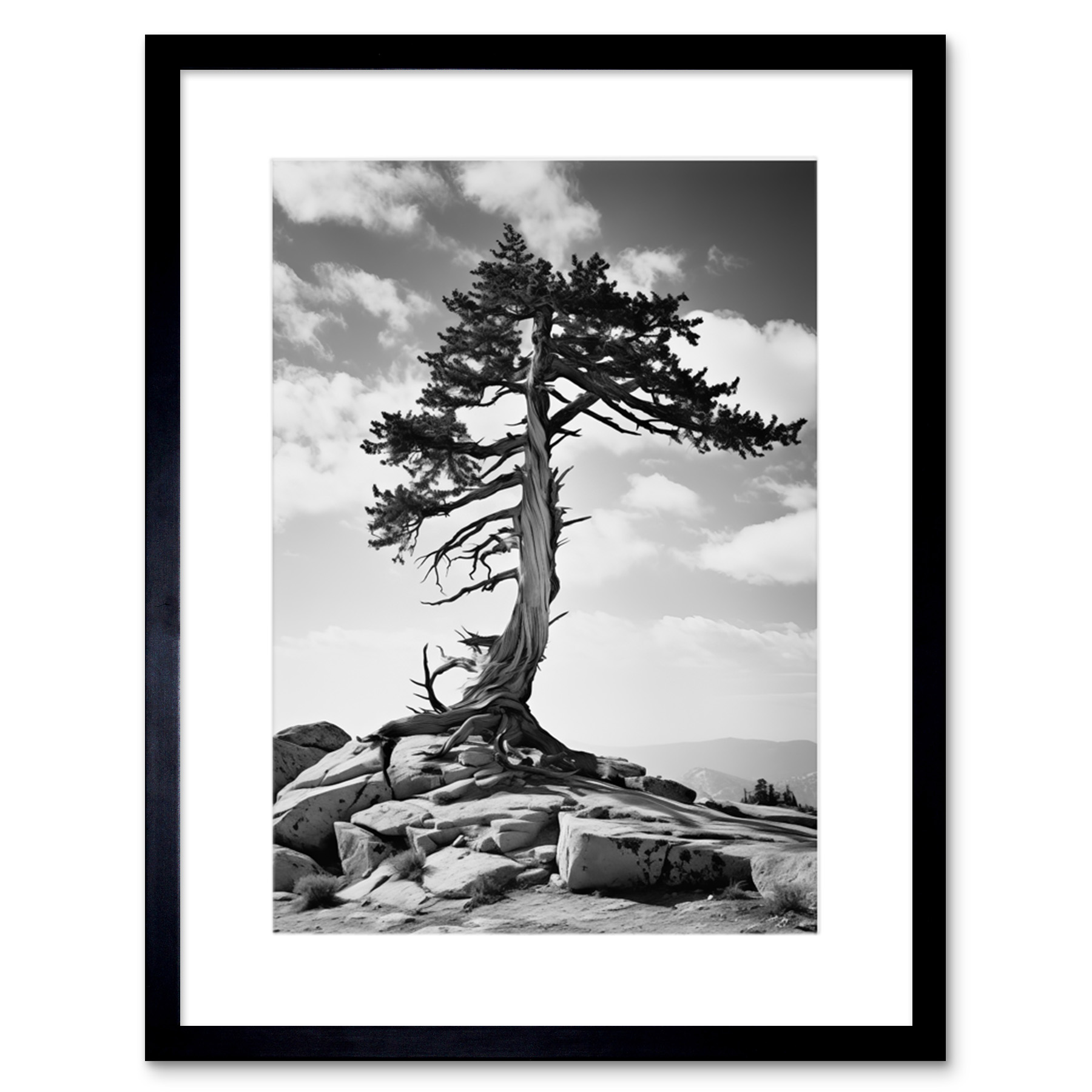 Weathered Jeffrey Pine Standing on a Rocky Hill Black White Framed Wall Art 9X7""