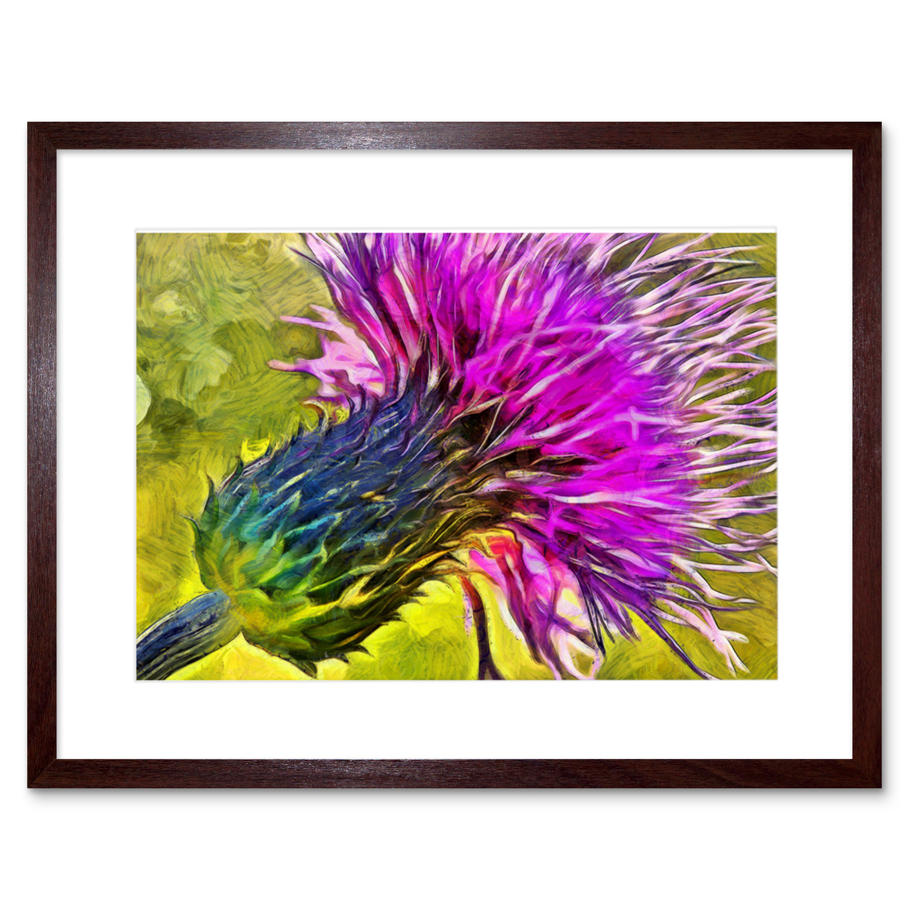 Scottish Thistle Flower Vibrant Framed Wall Art Print 9x7 Inch