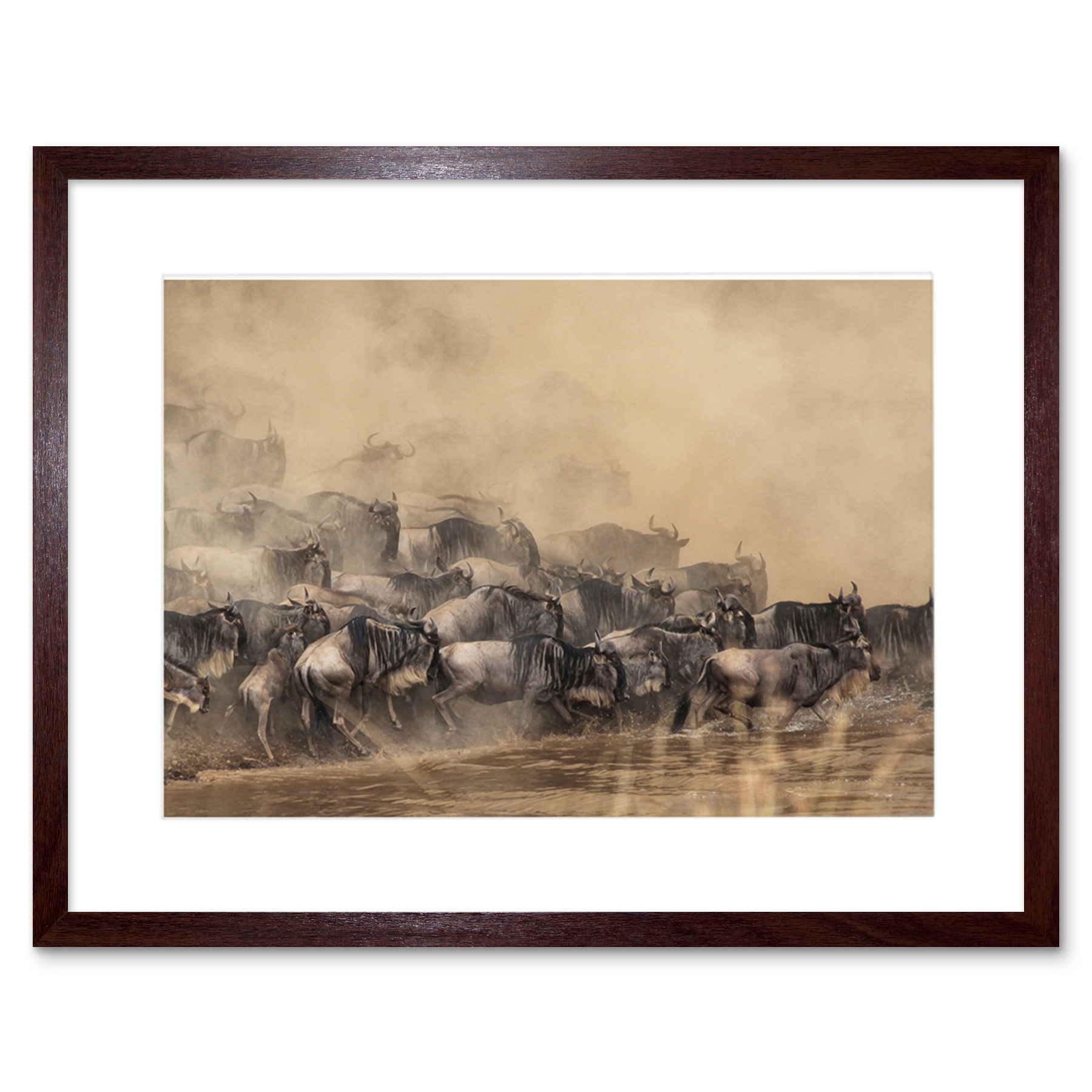 Wildebeest Antelope Herd Dust Framed Wall Art Print 9x7 Inch