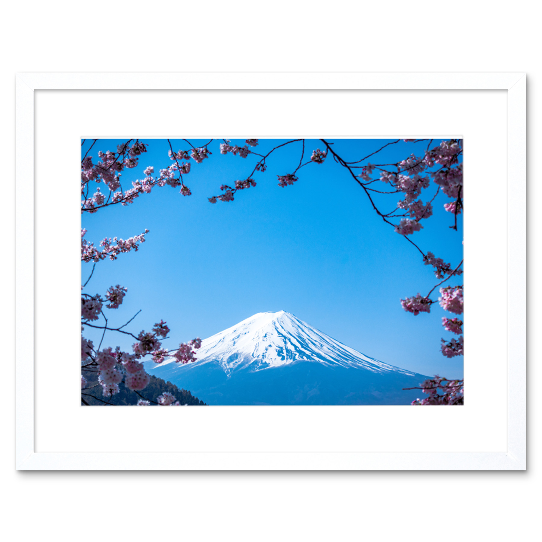 Ying Cherry Blossom Mount Fuji Japan Framed Wall Art Print 9x7 Inch