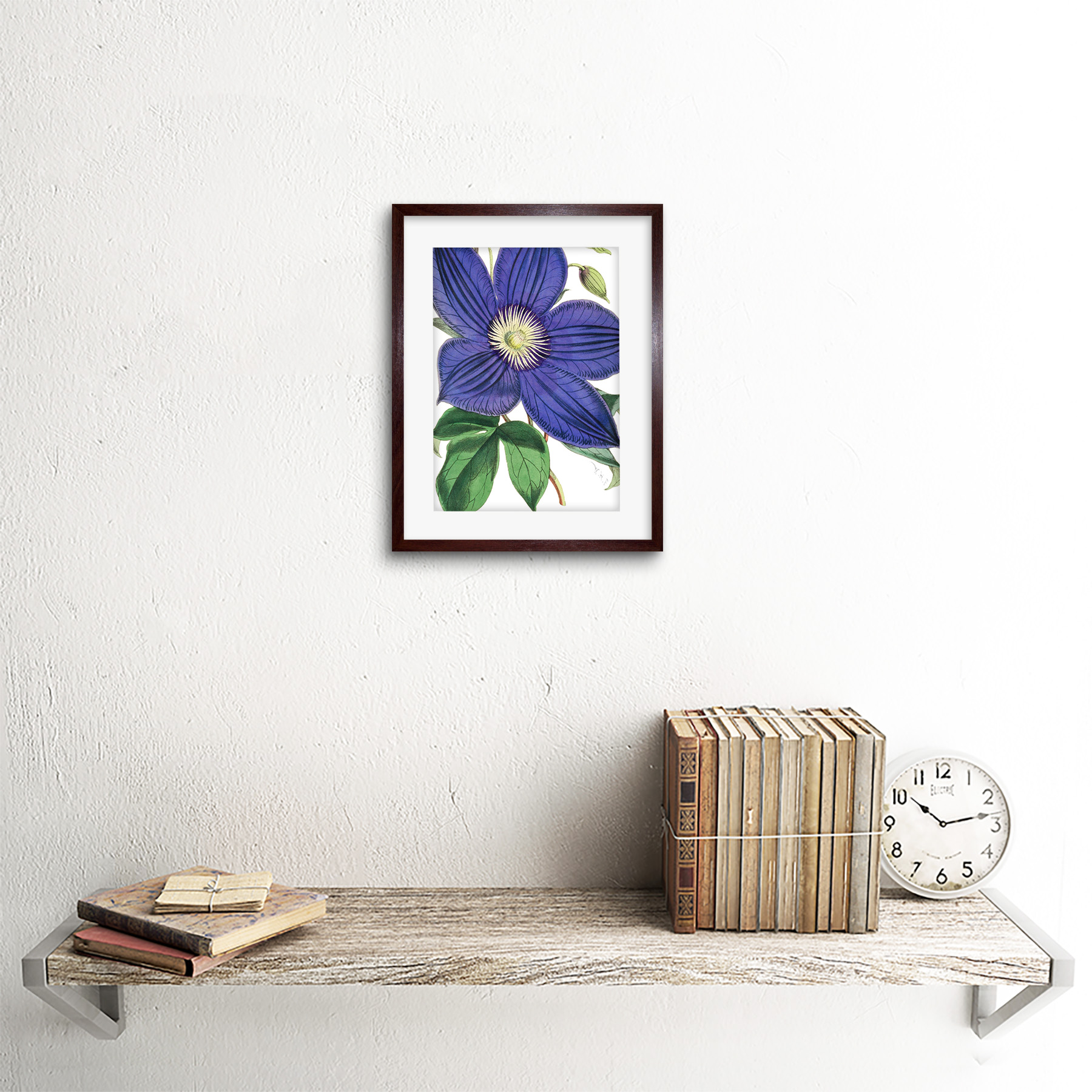 Große lila Clematis-Blüte Kunstplakat Gerahmter Kunstdruck 18x23 cm - Bild 11 von 29