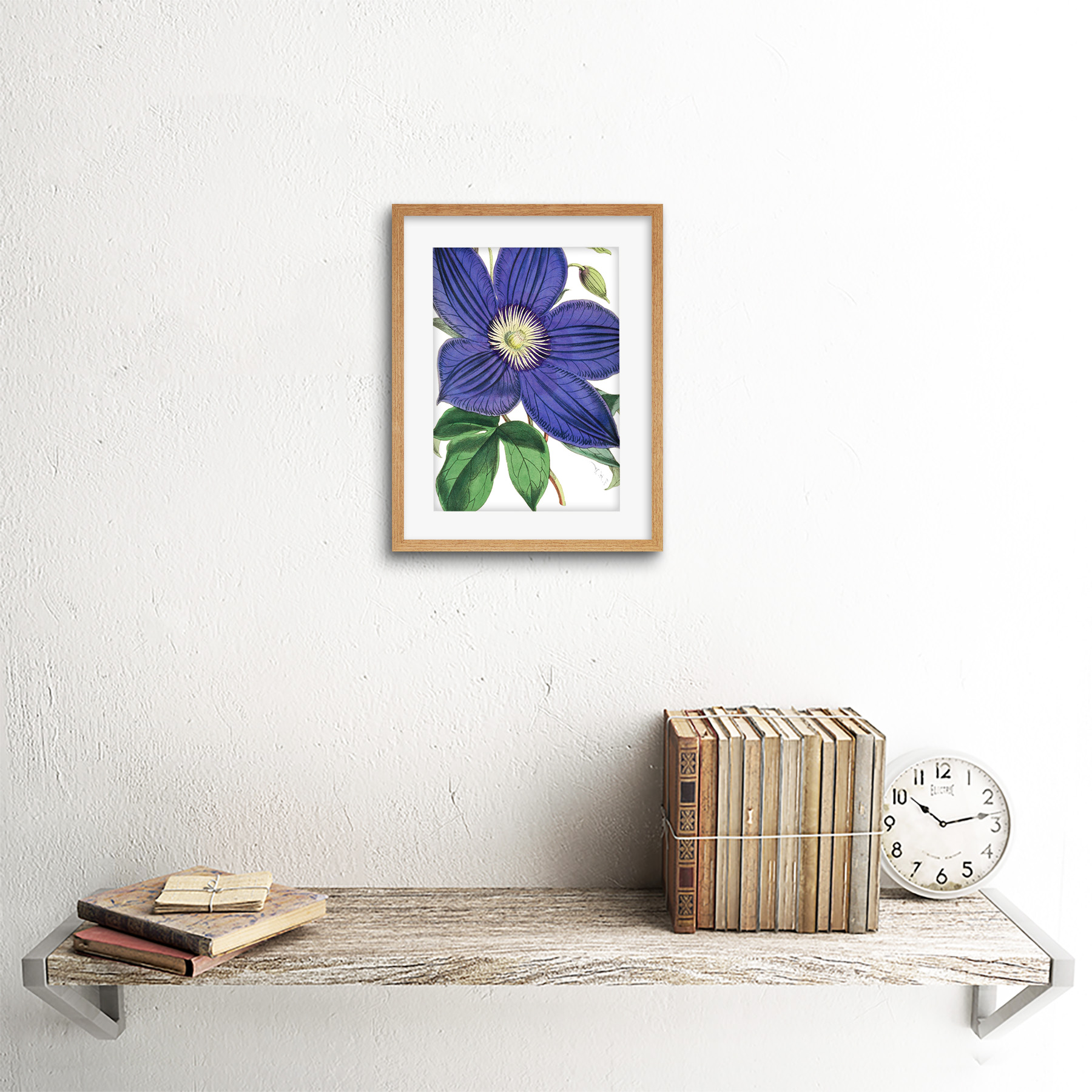 Große lila Clematis-Blüte Kunstplakat Gerahmter Kunstdruck 18x23 cm - Bild 18 von 29