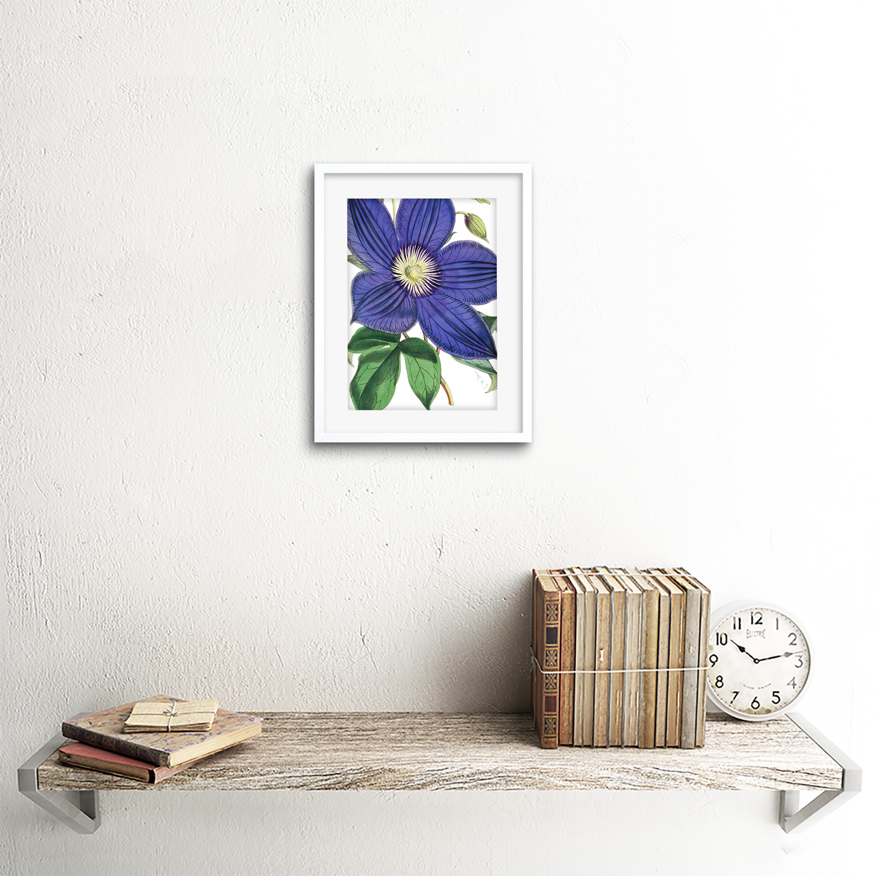 Große lila Clematis-Blüte Kunstplakat Gerahmter Kunstdruck 18x23 cm - Bild 25 von 29