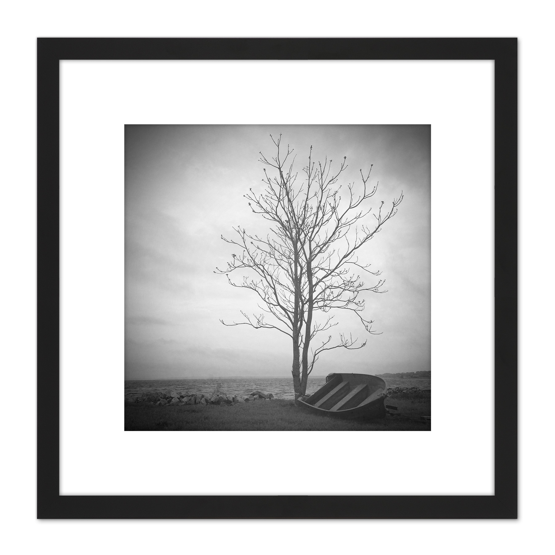 Lone Tree Silhouette Greyscale Photo Square Framed Wall Art 8X8 In