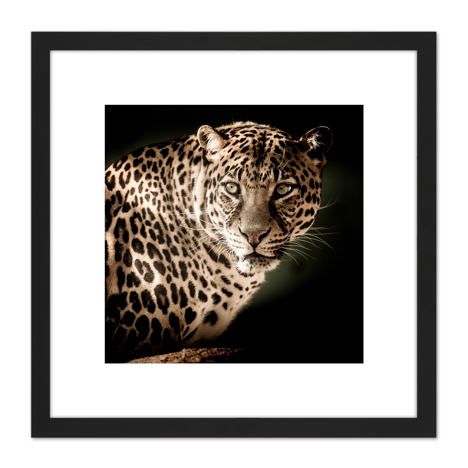 Leopard Big Cat Spots Photo Square Framed Wall Art 8X8 In