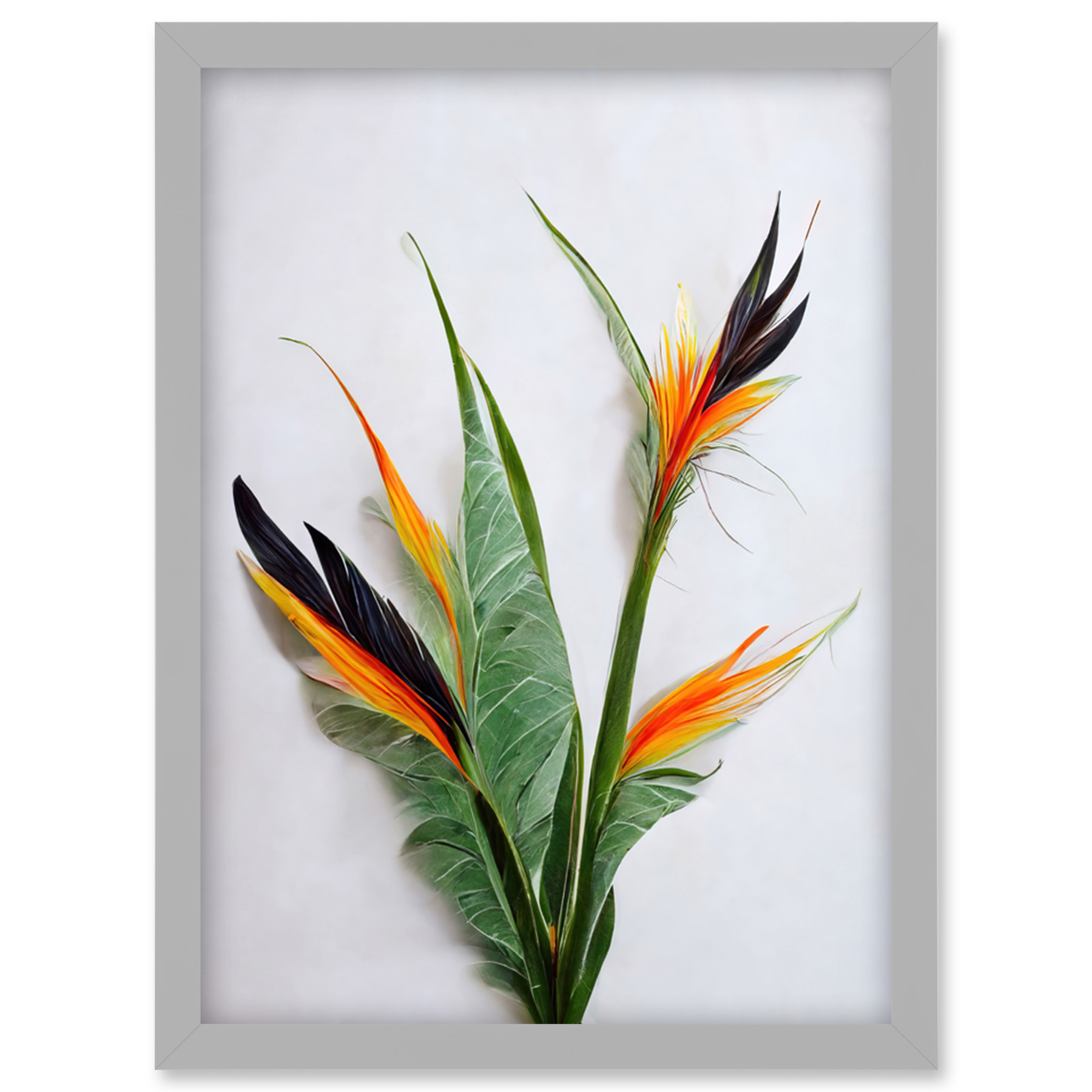 Bird of Paradise Stem Leaves Flowers Plant Framed Wall Art Picture Print A4
