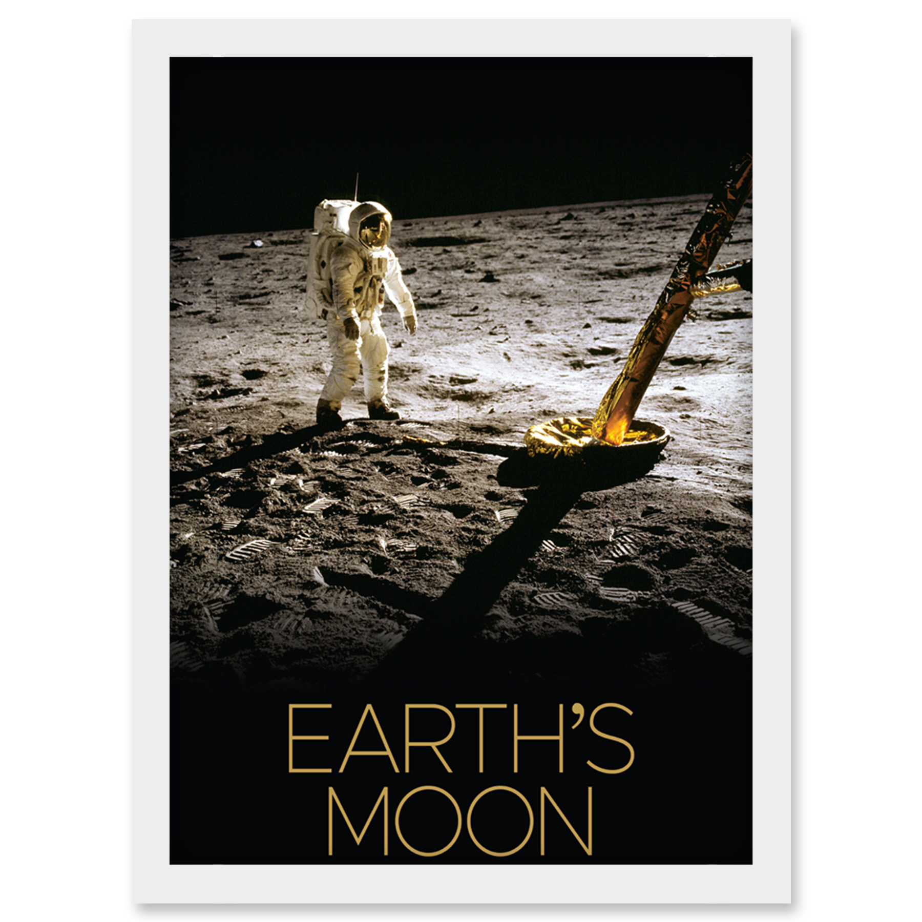 NASA Our Solar System Moon Apollo 11 Lunar Module Buzz Aldrin Framed Wall Art A4