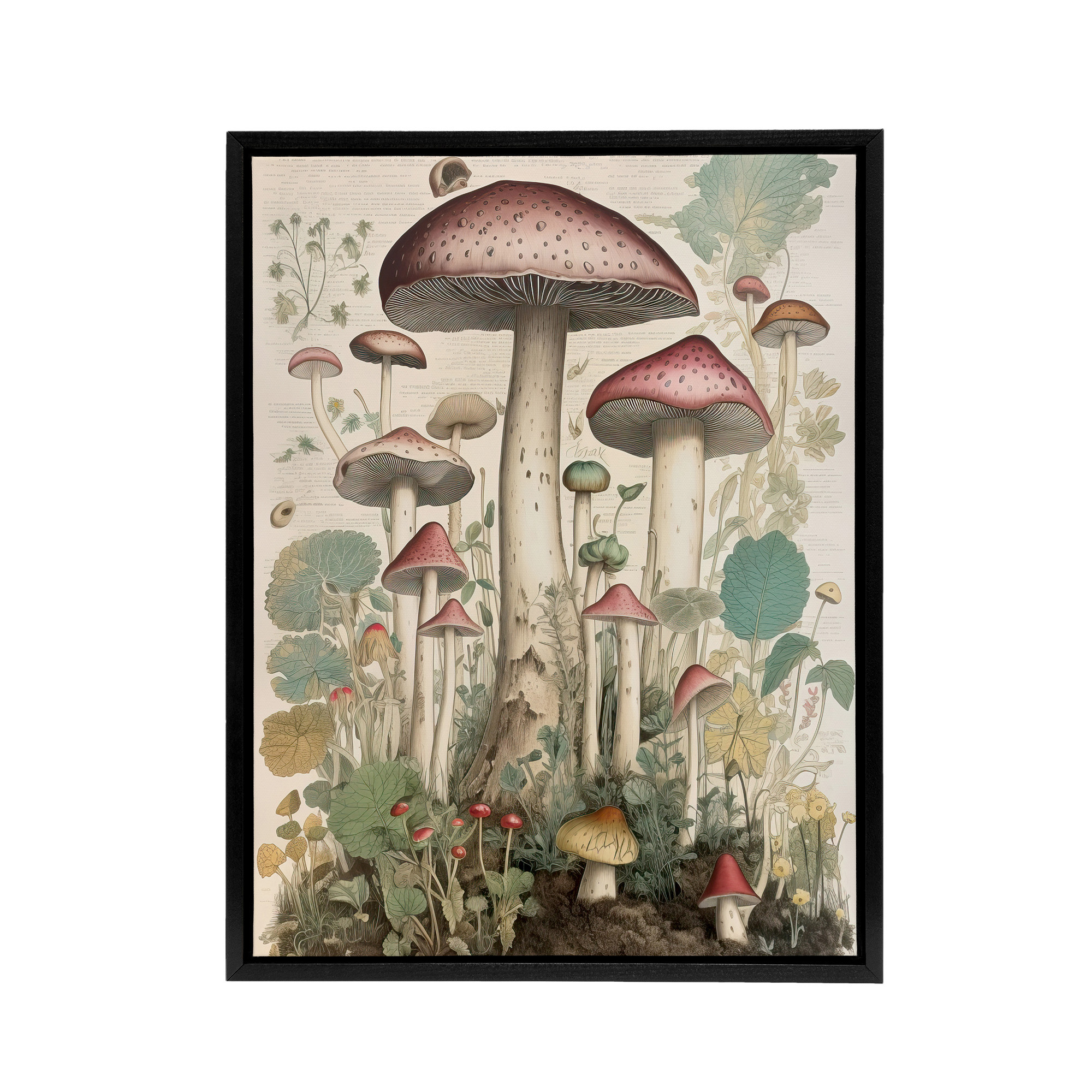 Mushroom Fungi Botanical Kitchen Decor Framed Canvas Wall Art Print