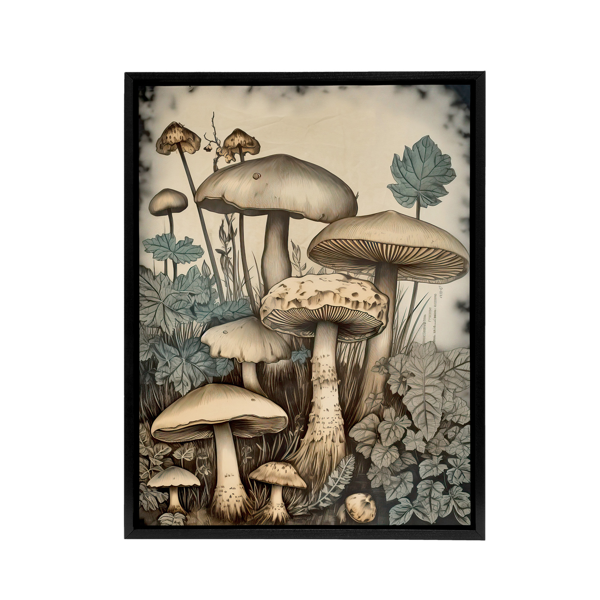 Mushroom Fungi Watercolour Vintage Framed Canvas Wall Art Print