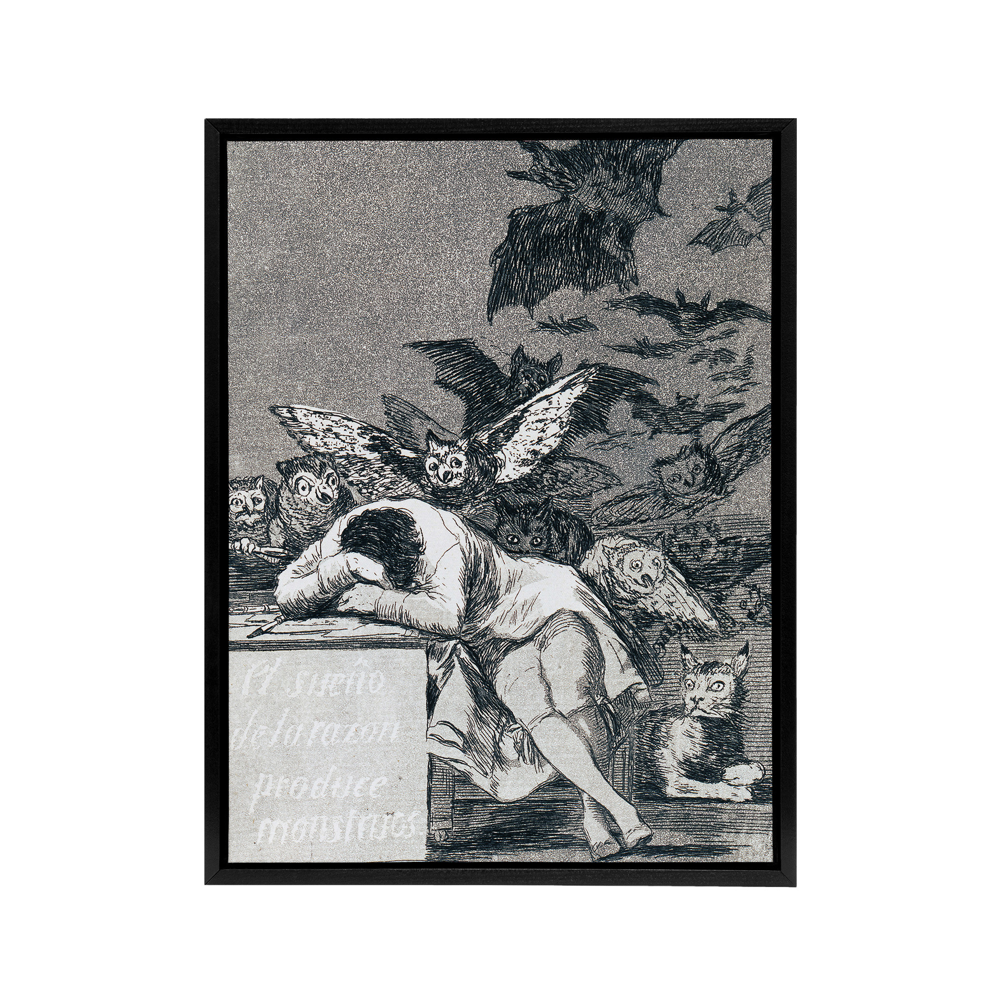 Francisco Goya The Dream Of Reason Framed Canvas Wall Art Print
