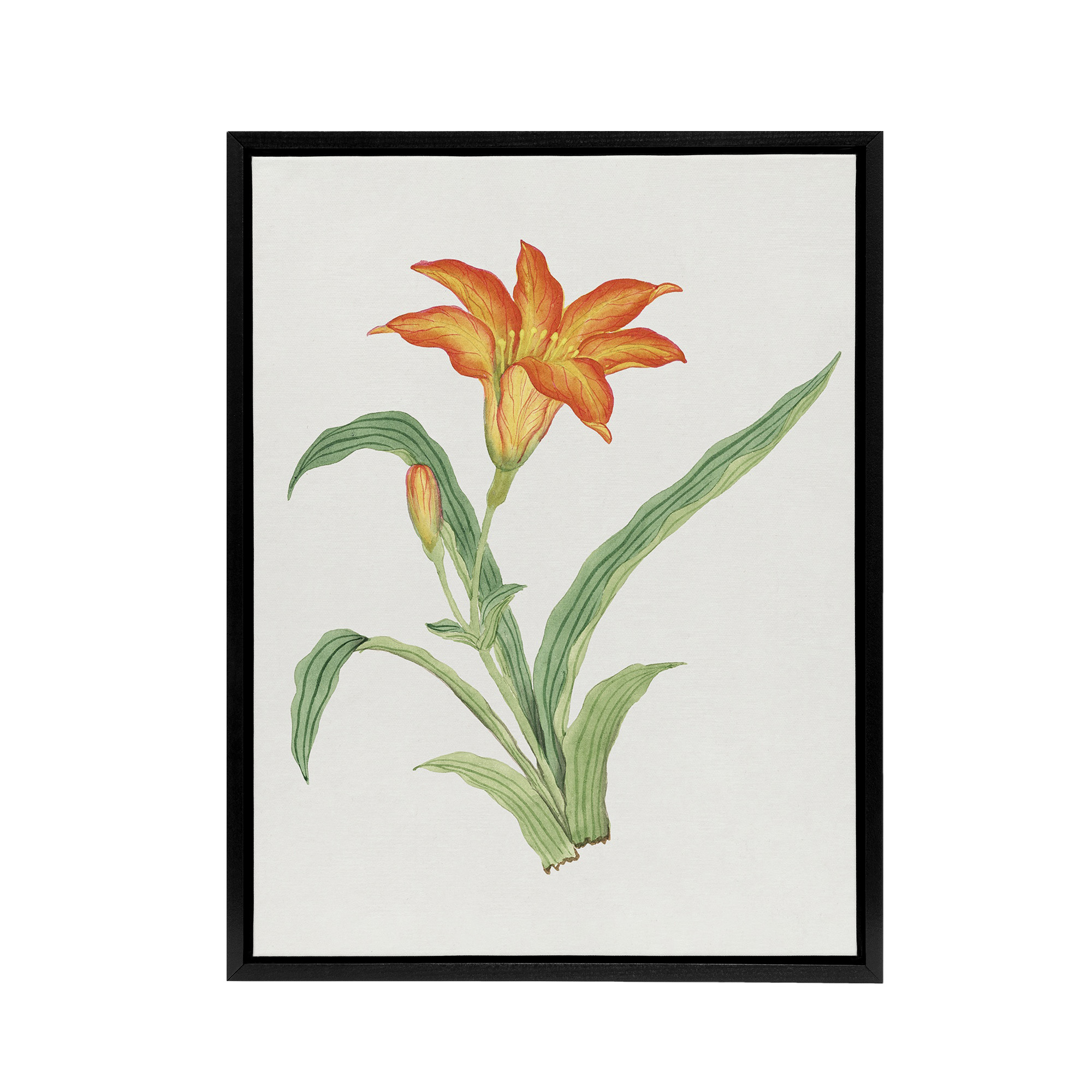 Orange Lily Flower Framed Canvas Wall Art Print Vintage Japan Botanical