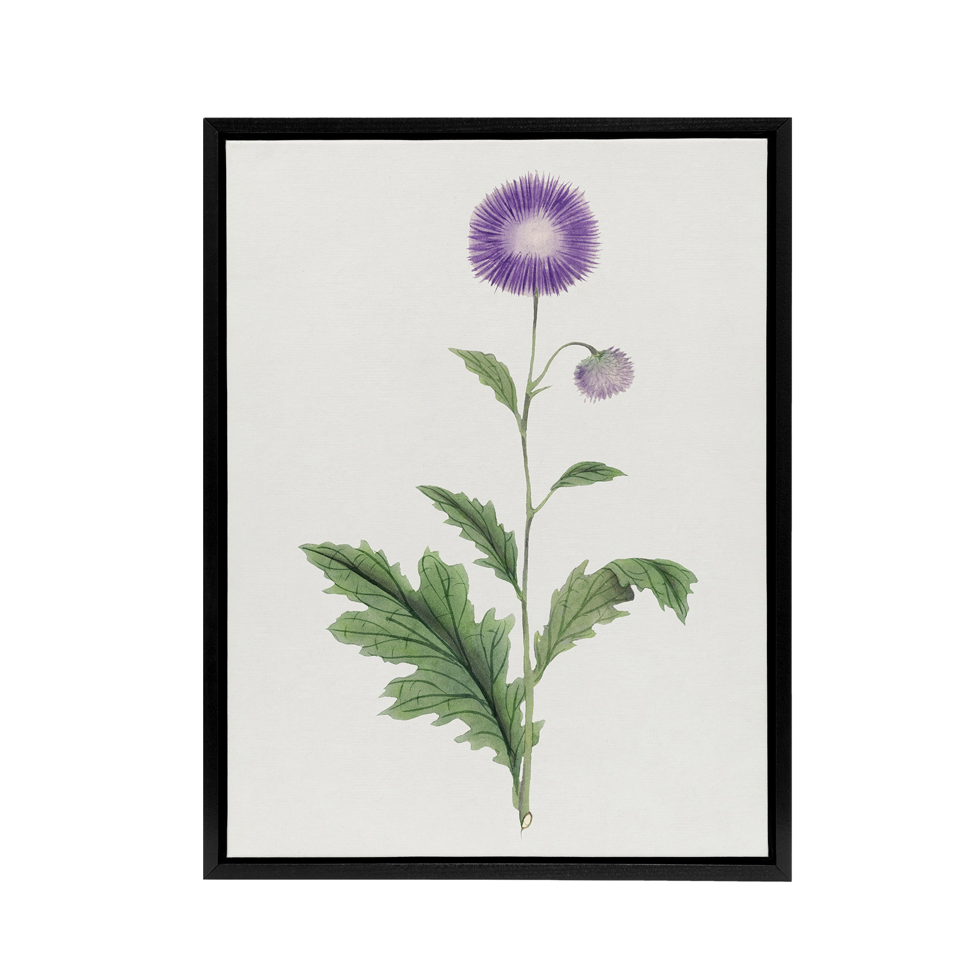 Thistle Flower Framed Canvas Wall Art Print Vintage Japanese