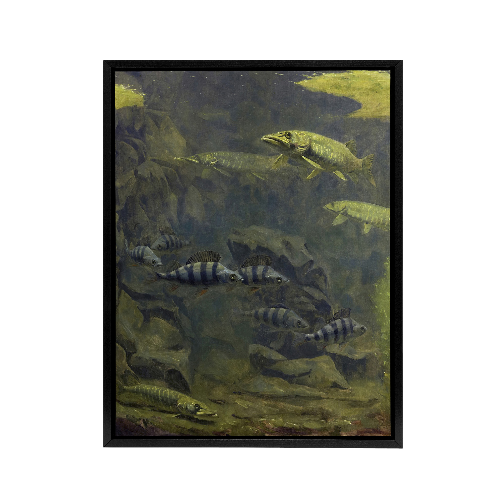 Pike and Perch Aquarium Framed Canvas Wall Art Print Gerrit Dijsselhof