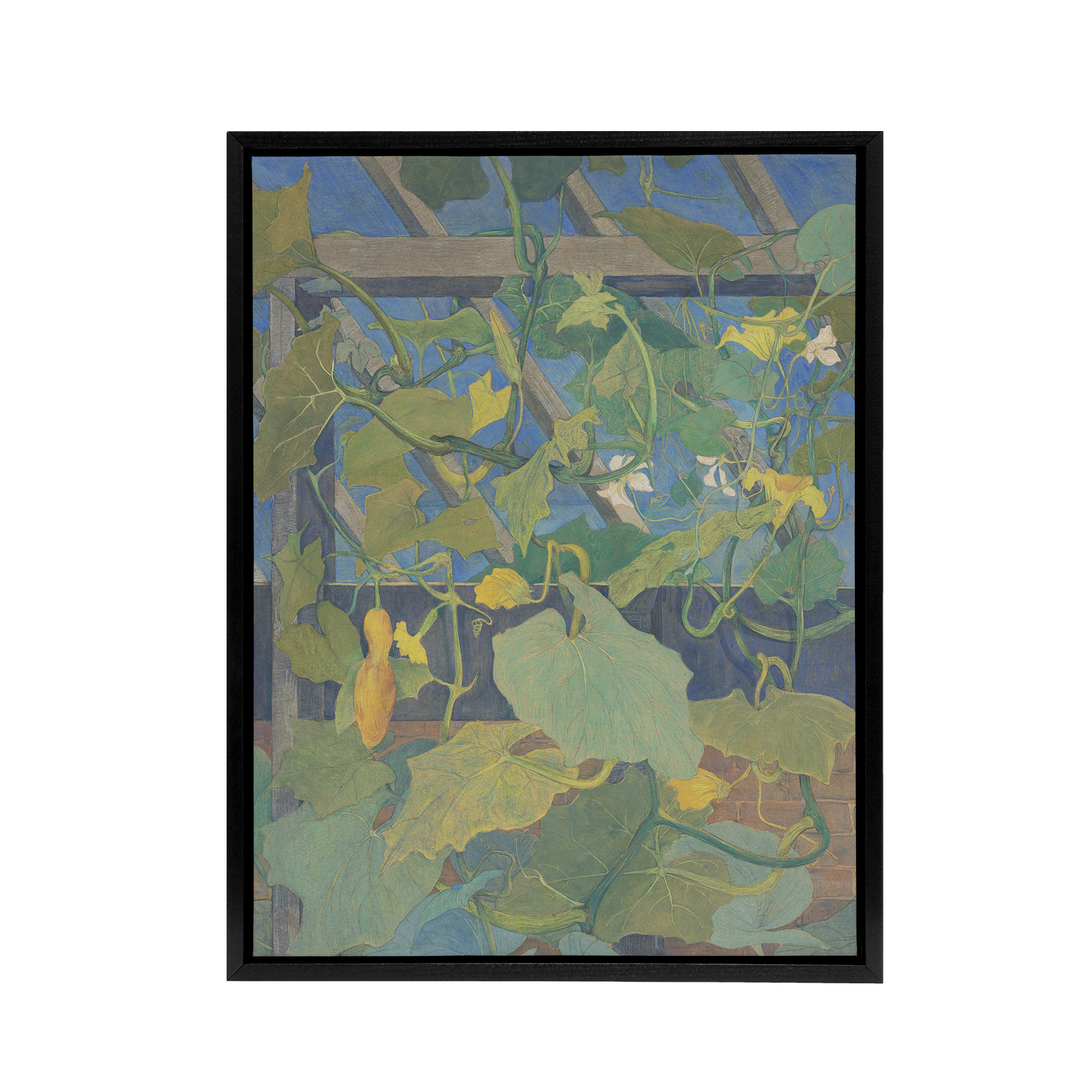 Greenhouse Ornamental Gourds Framed Canvas Wall Art Print van Hoytema