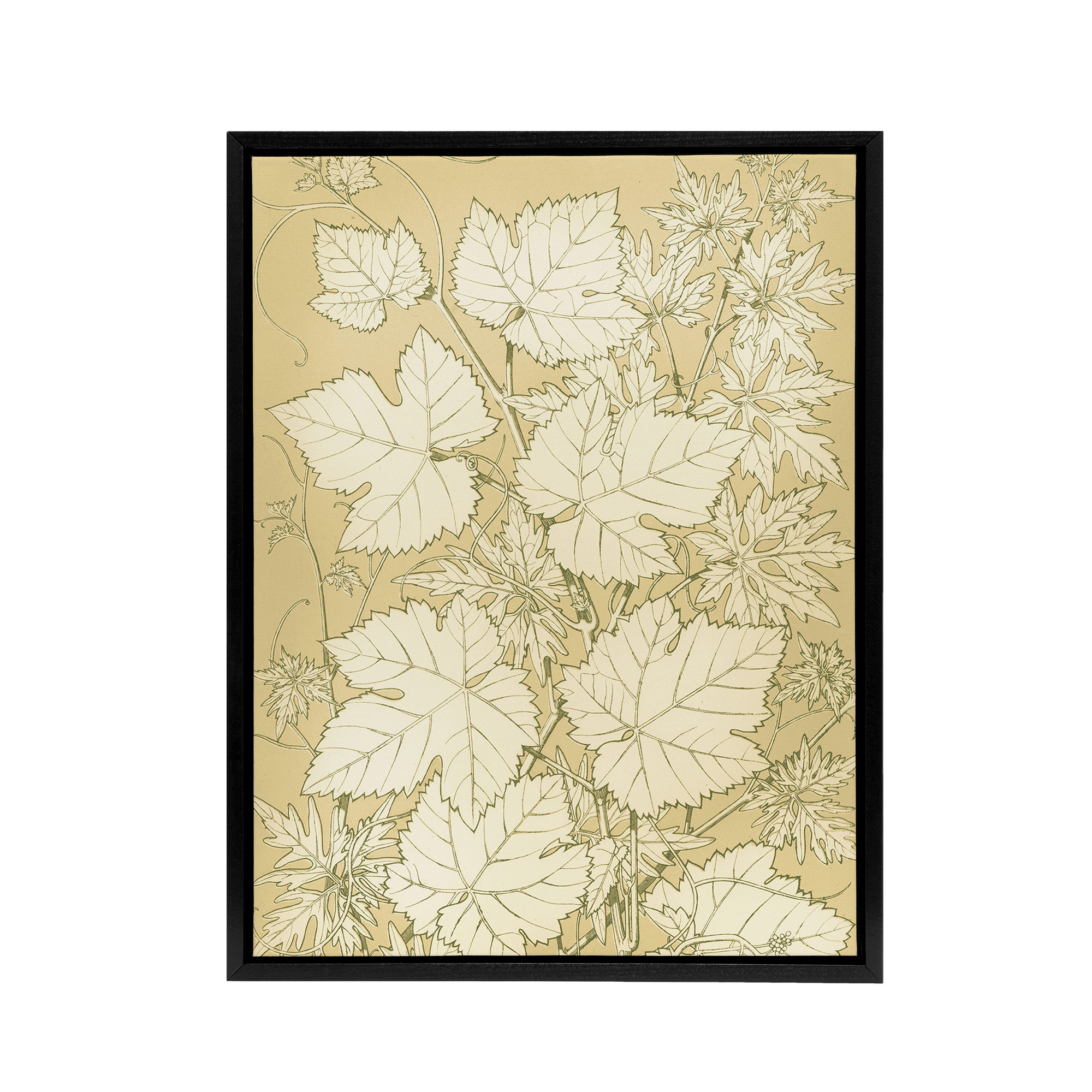 Leaves From Nature No 2 Botanical Jones Vintage Black Framed Canvas Wall Art