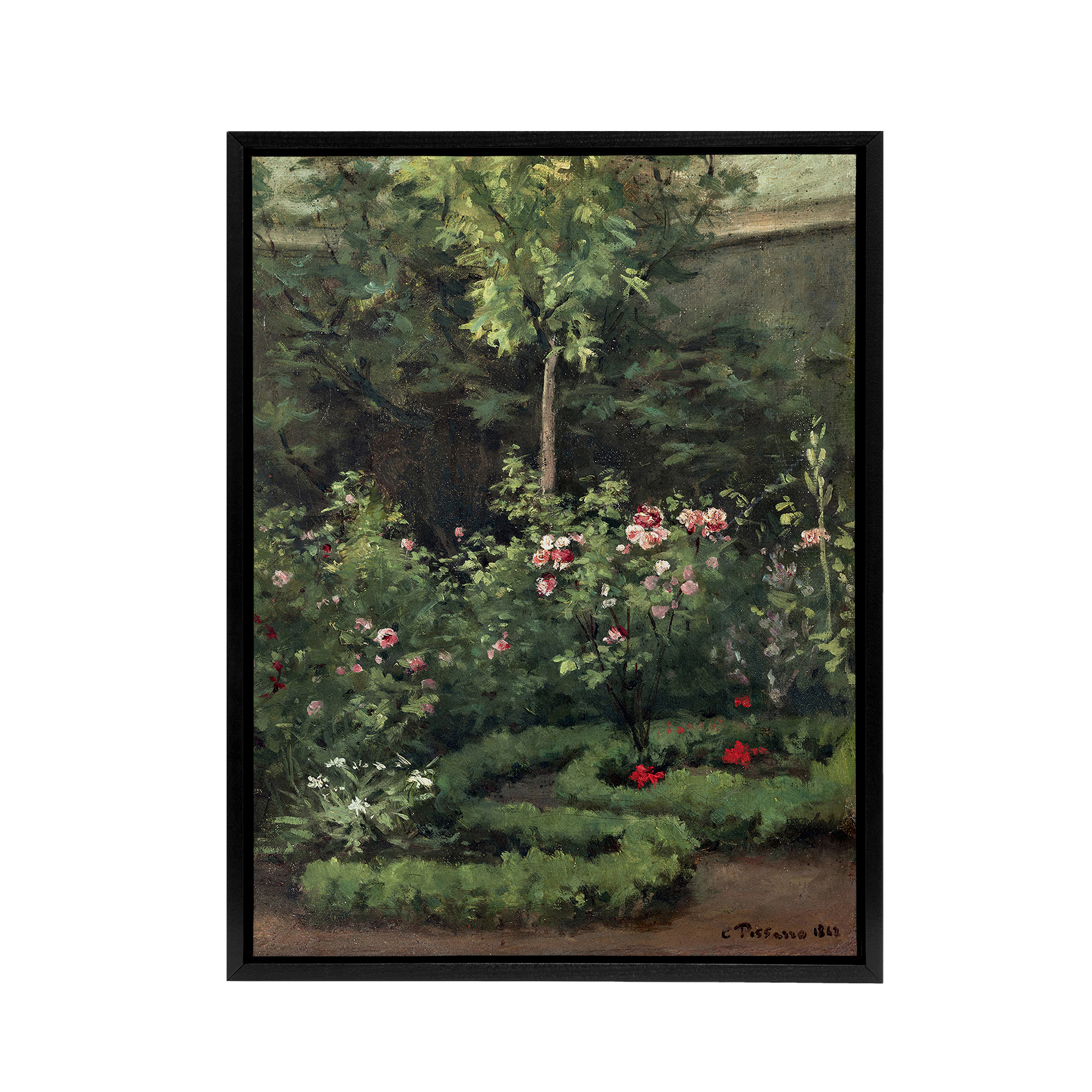 A Rose Garden Landscape Camille Pissarro Black Framed Canvas Wall Art Print