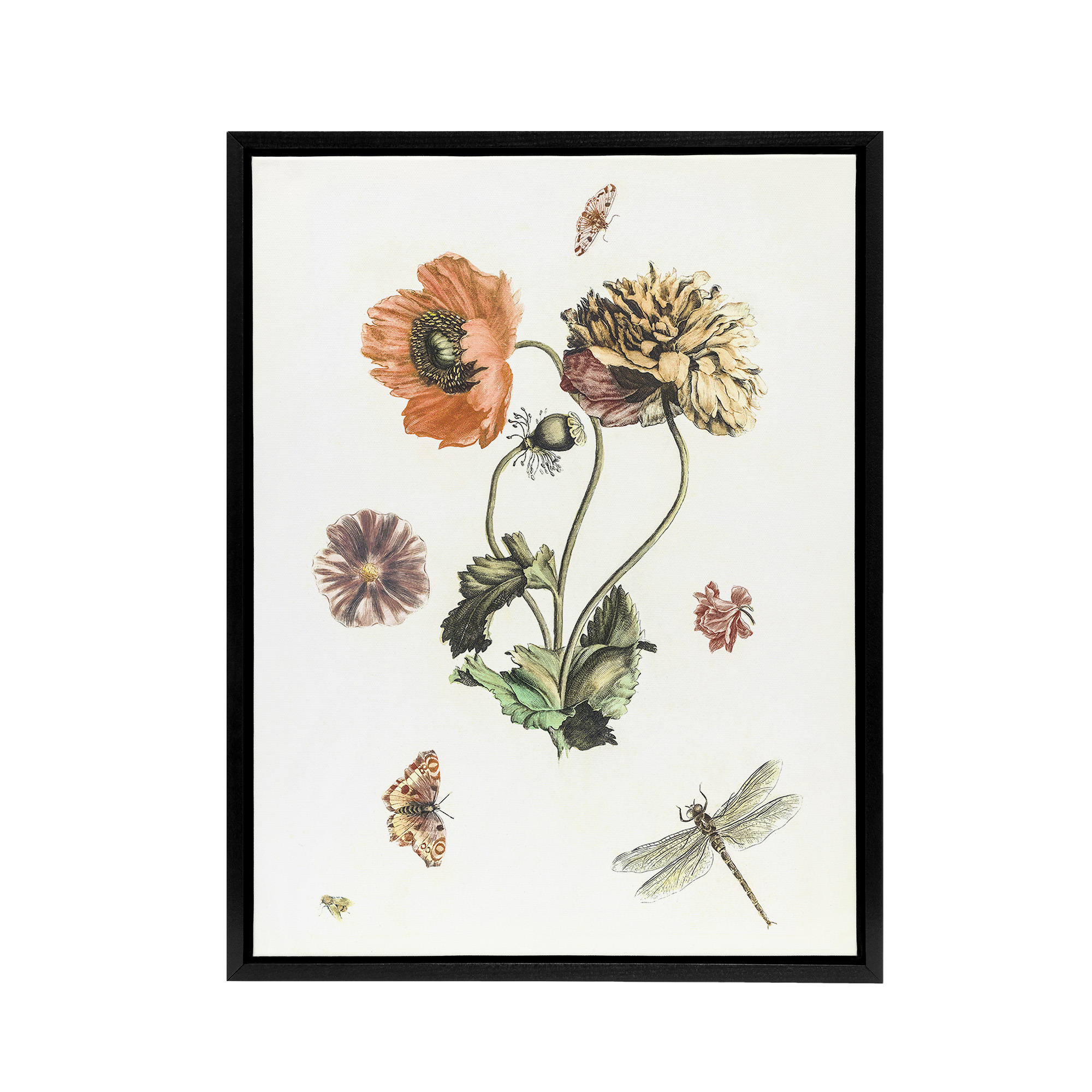 Poppies Butterflies and Dragonfly Teyler Black Framed Canvas Wall Art Print