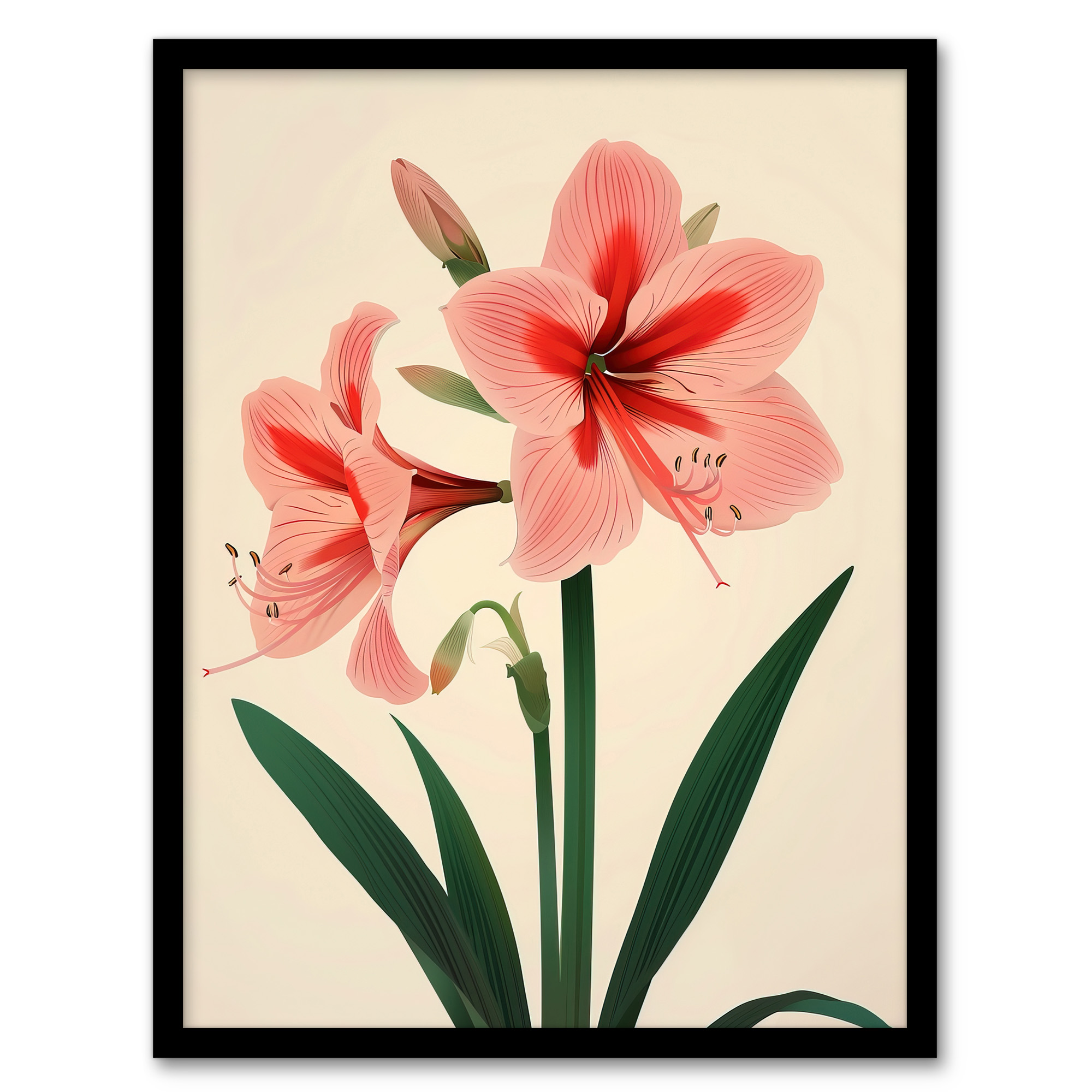 Amaryllis Flower Bloom Stylised Botanical Design Wall Art Poster Print