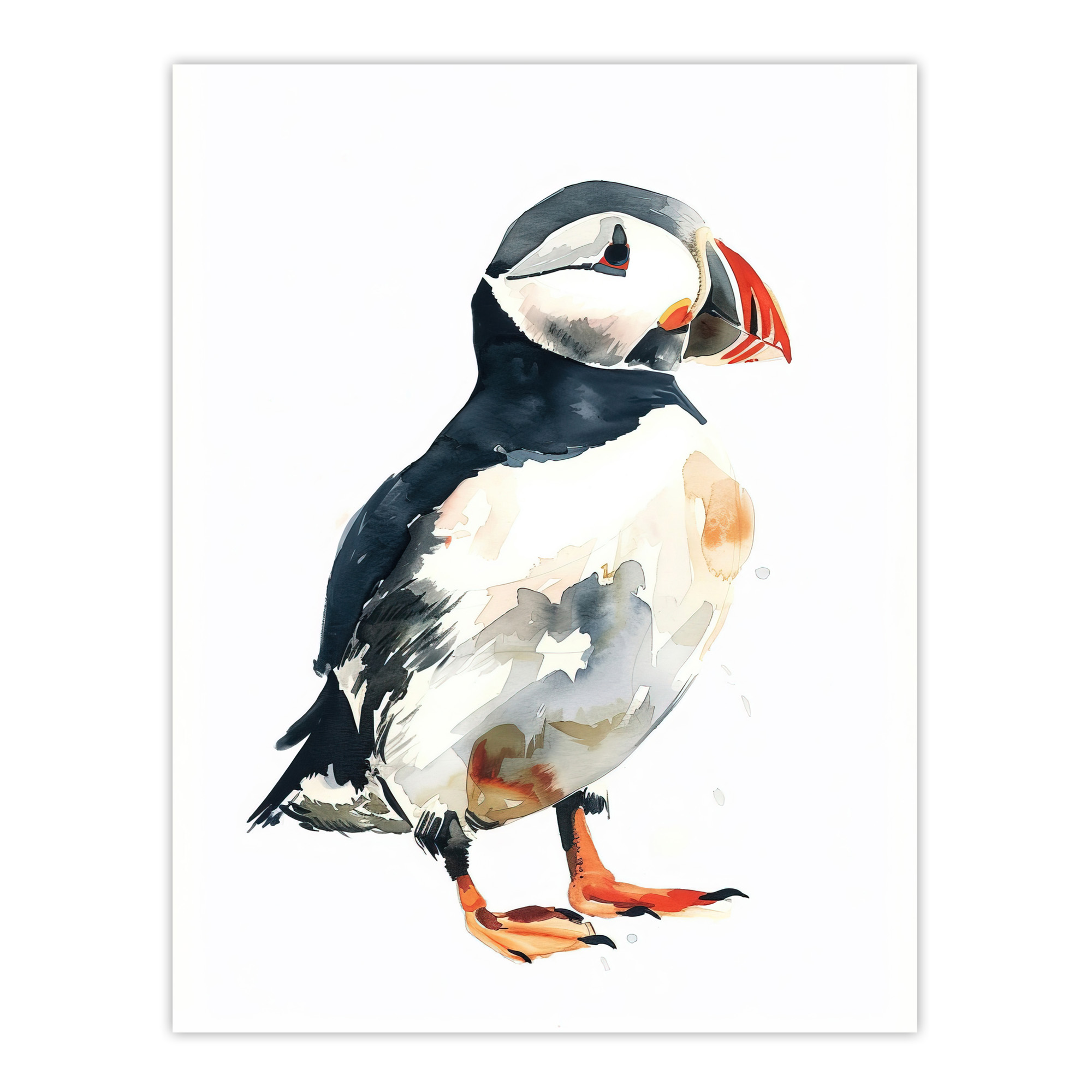 Single Cute Puffin Bird Watercolour Portrait Wall Art Poster Print