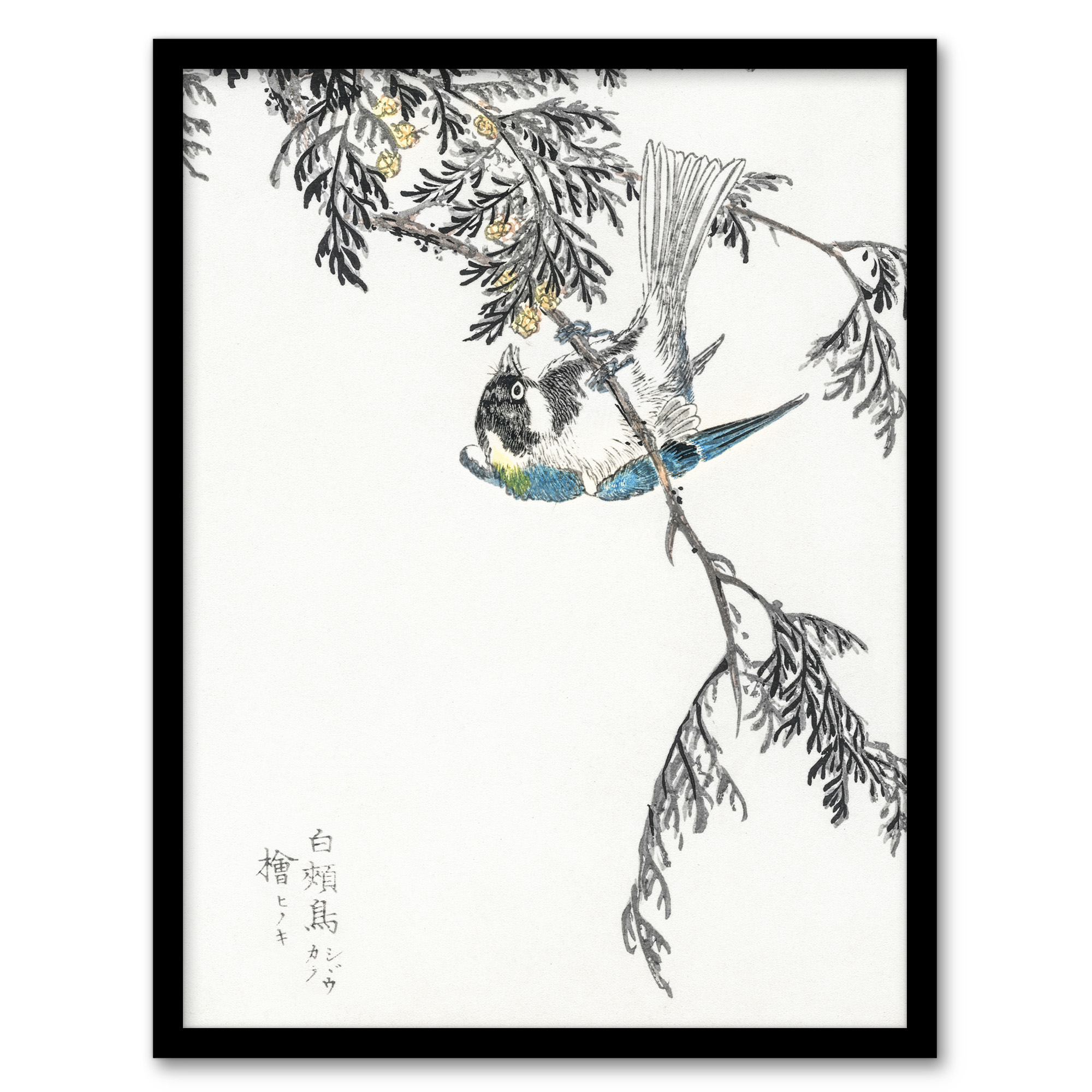 Kashu Framed Wall Art Print Great Tit and Japanese Cypress Japanese Home Décor