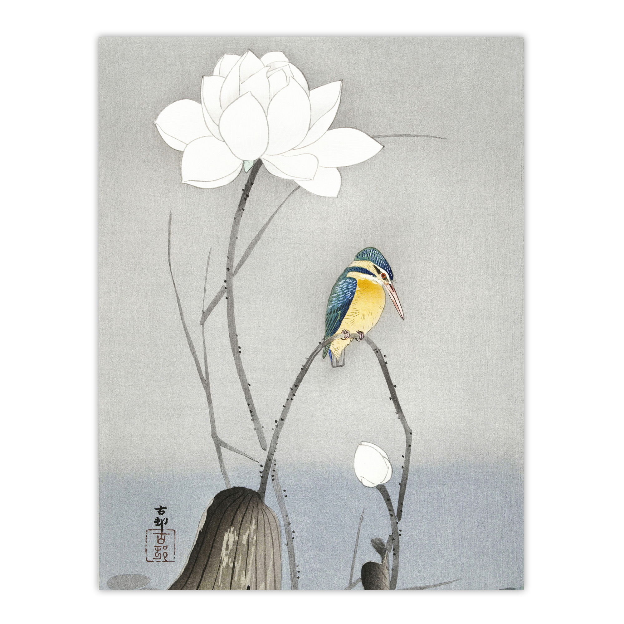 Kingfisher With Lotus Flower Vintage Japan Framed Wall Art Print Koson